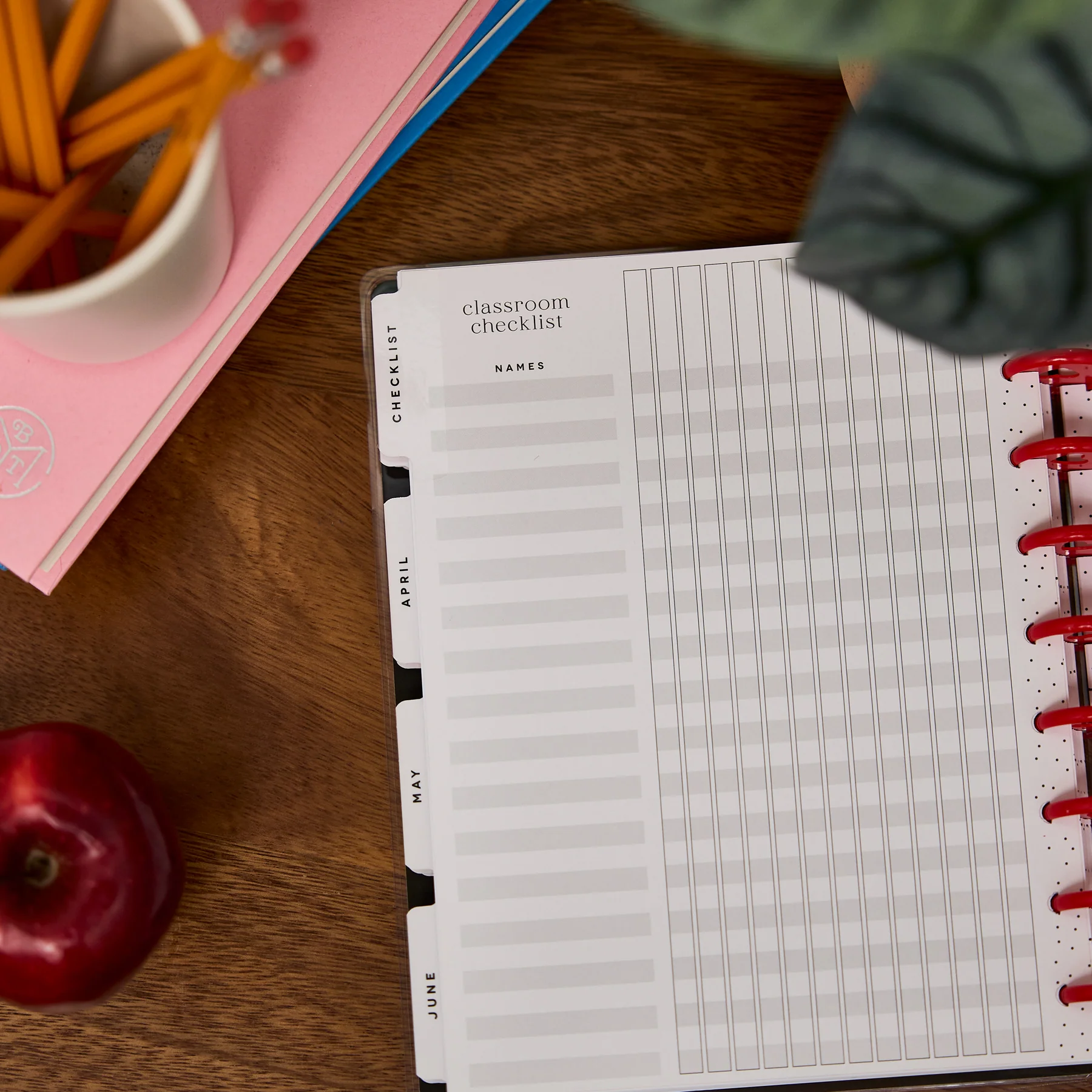 2026–2027 Bright Lessons Customizable Teacher Planner - Classic Teacher Layout - 12 Months - Image 9