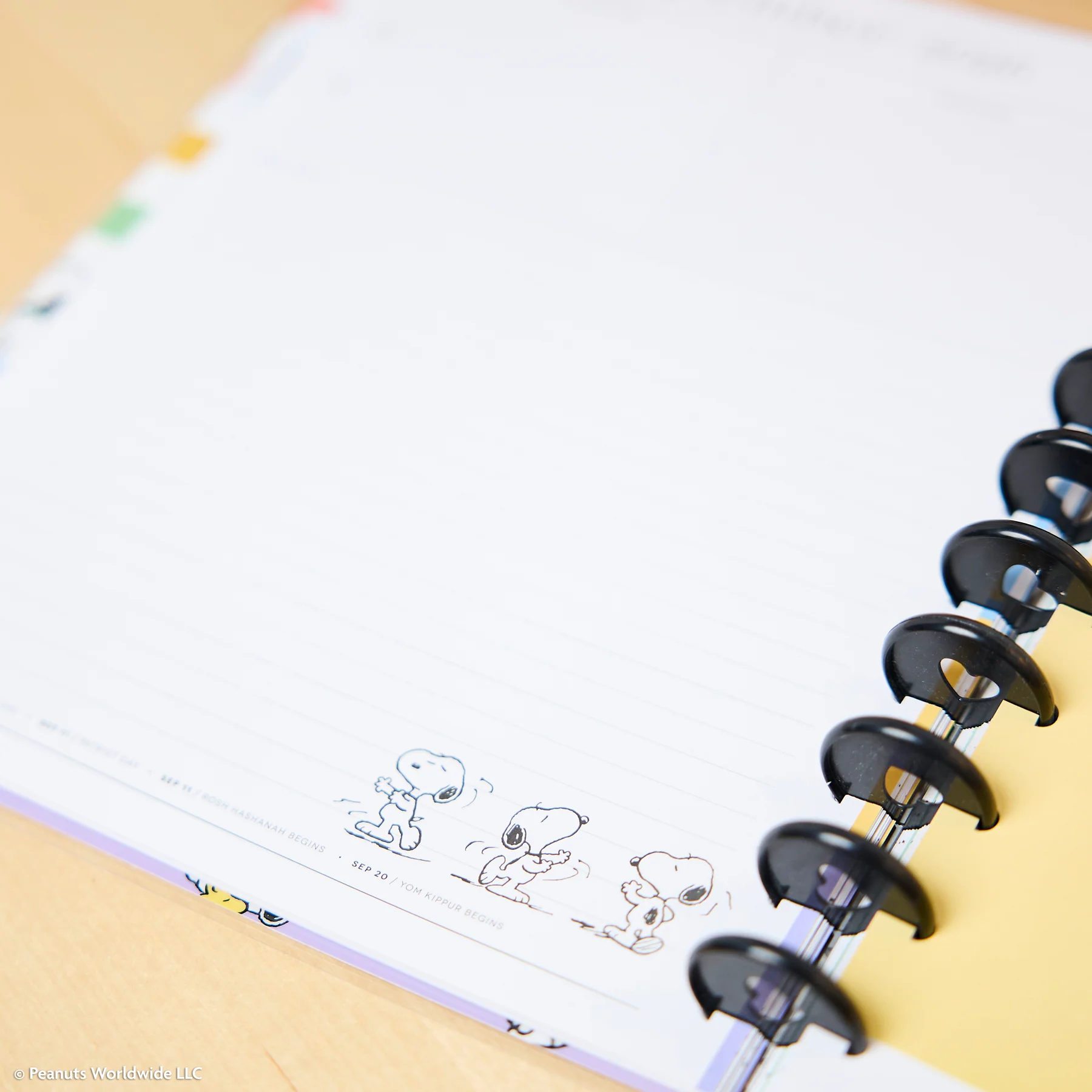 2026–2027 PEANUTS™ Customizable Teacher Planner - Big Teacher Layout - 12 Months - Image 16