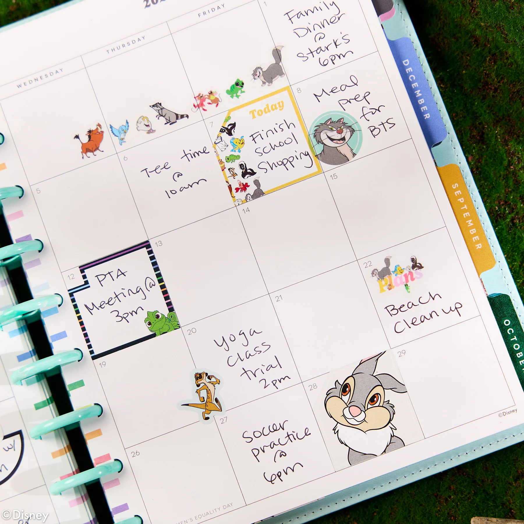 2026–2027 SPECIALTY Disney Best Pals Customizable Planner - Classic Dashboard Layout - 12 Months - Image 7
