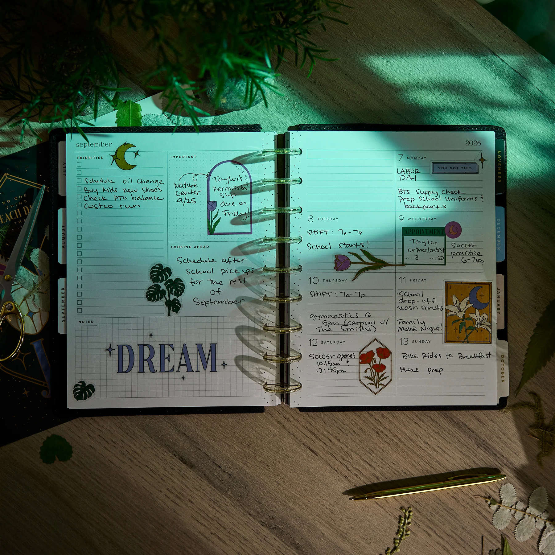 2026–2027 SPECIALTY Tinted Mosaic Customizable Planner - Classic Dashboard Layout - 12 Months - Image 5
