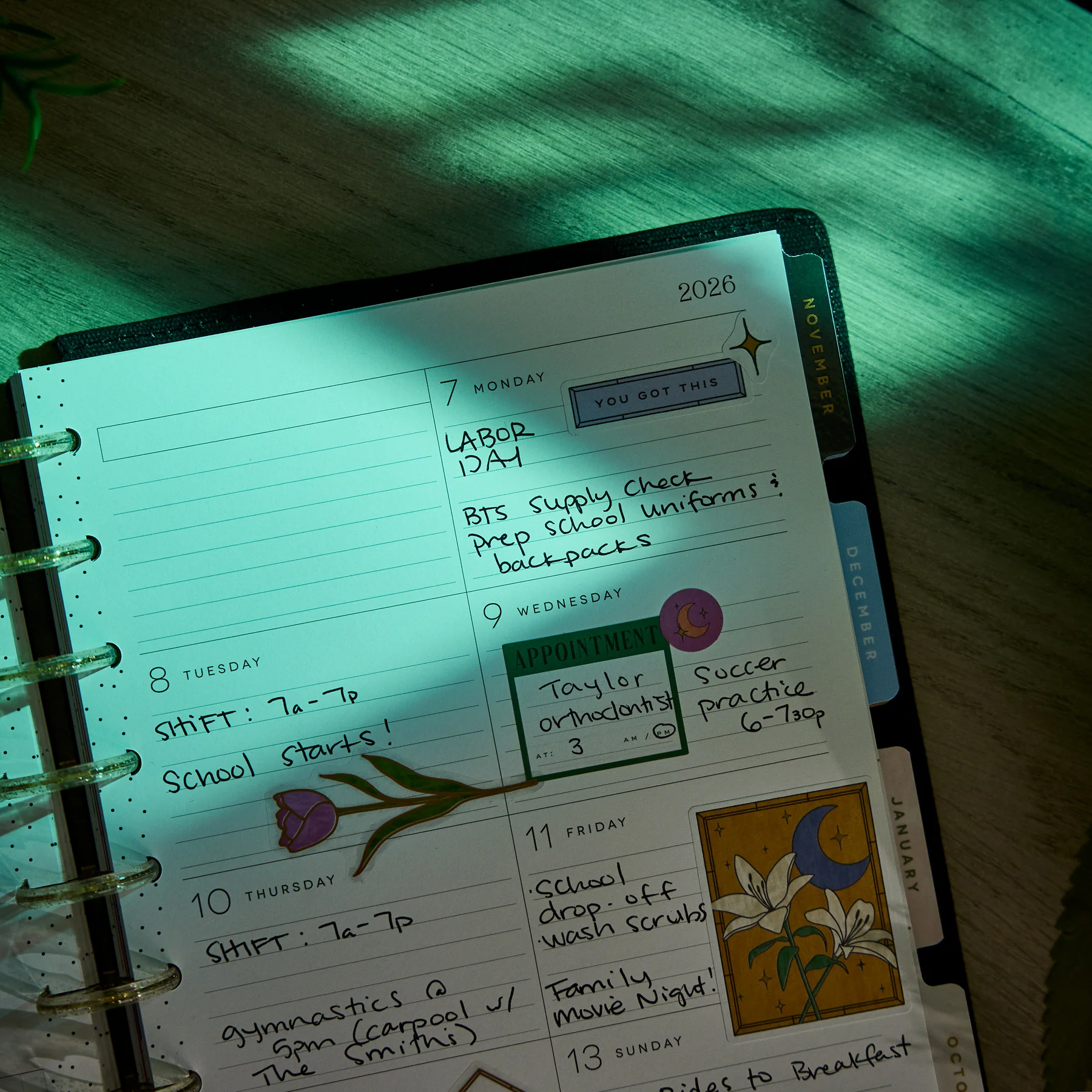 2026–2027 SPECIALTY Tinted Mosaic Customizable Planner - Classic Dashboard Layout - 12 Months - Image 7