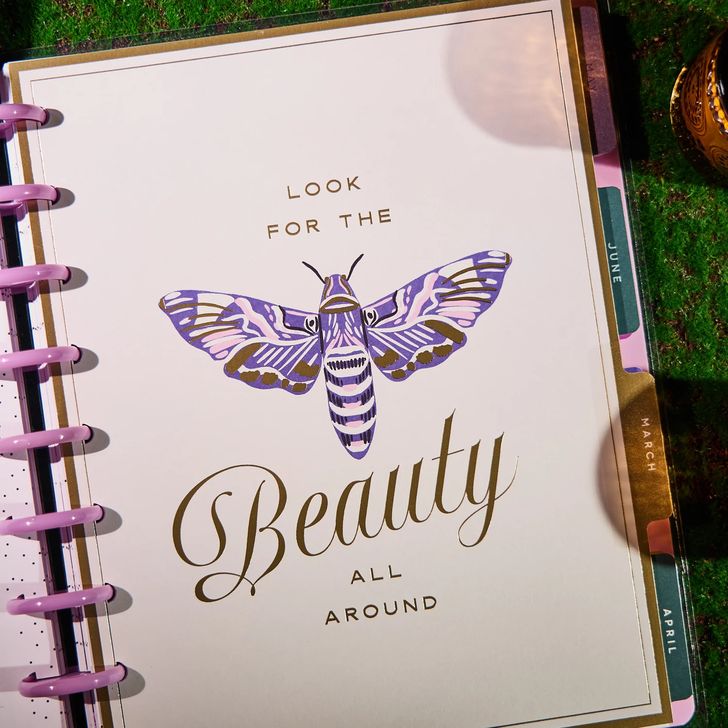 2026 Butterfly Botanics Customizable Planner - Classic Color Block Layout - 12 Months - Image 2