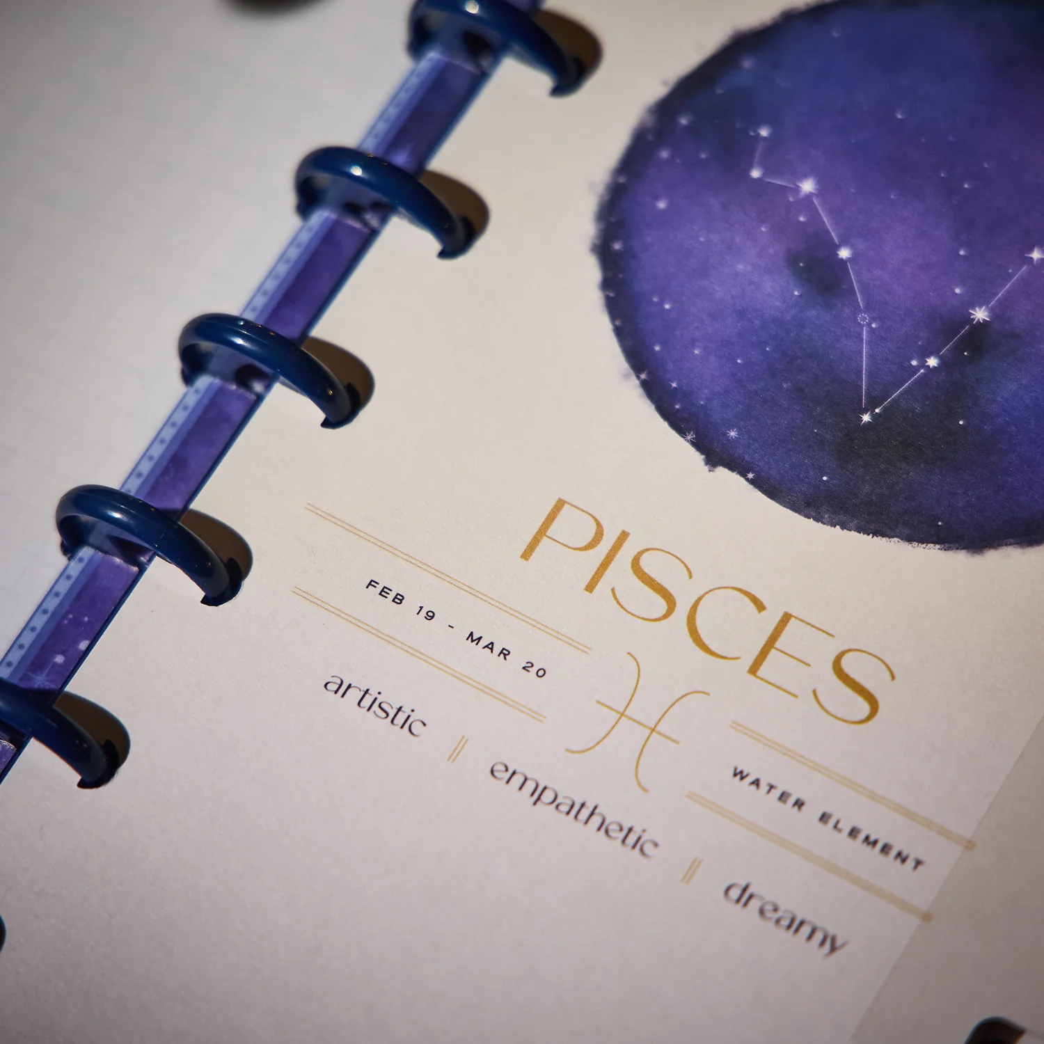 2026 Star Signs Customizable Planner - Skinny Classic Horizontal Layout - 12 Months - Image 2