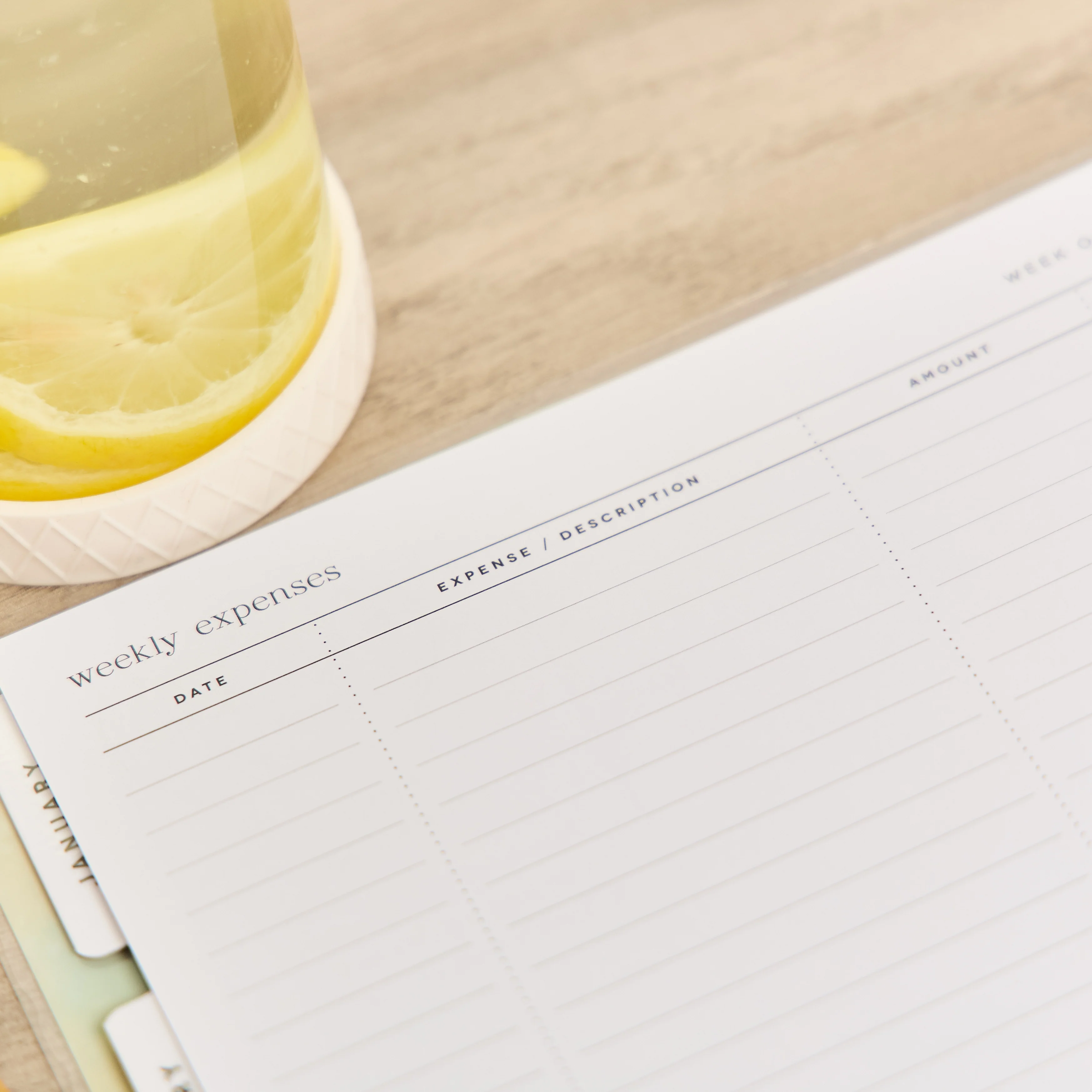 2026 Textured Canvas Customizable Budget Planner - Big Budget Layout - 12 Months - Image 12