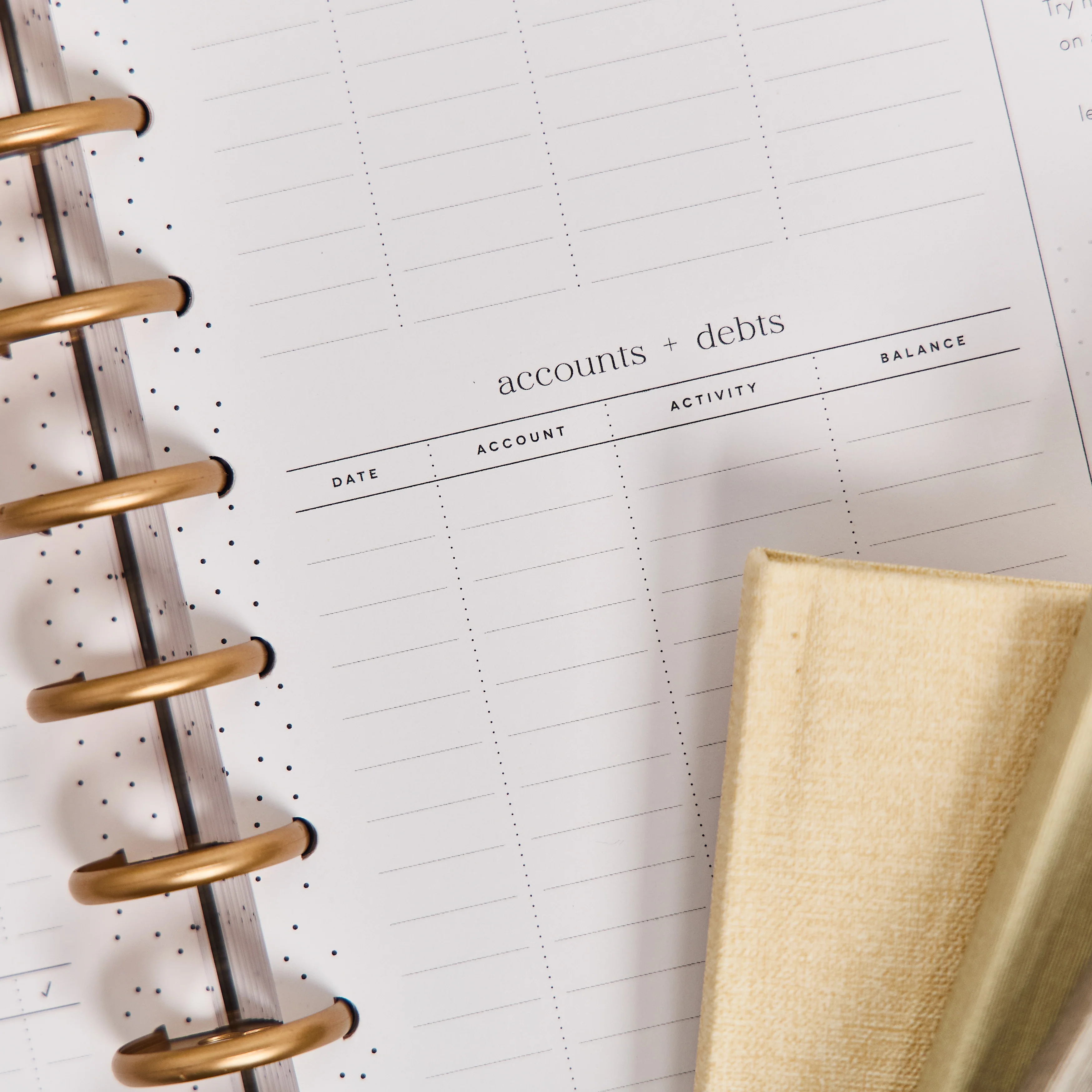 2026 Textured Canvas Customizable Budget Planner - Classic Budget Layout - 12 Months - Image 15