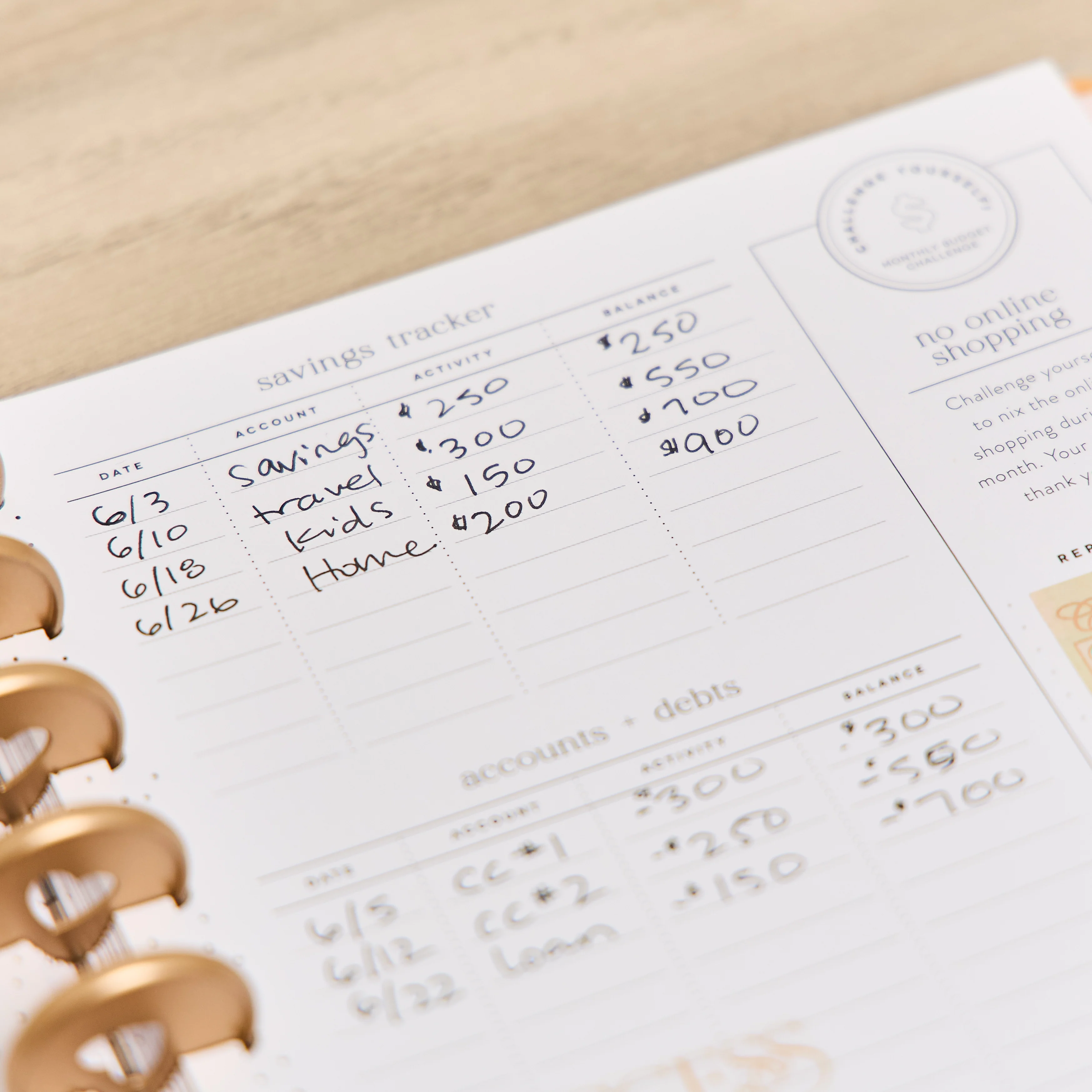2026 Textured Canvas Customizable Budget Planner - Classic Budget Layout - 12 Months - Image 5