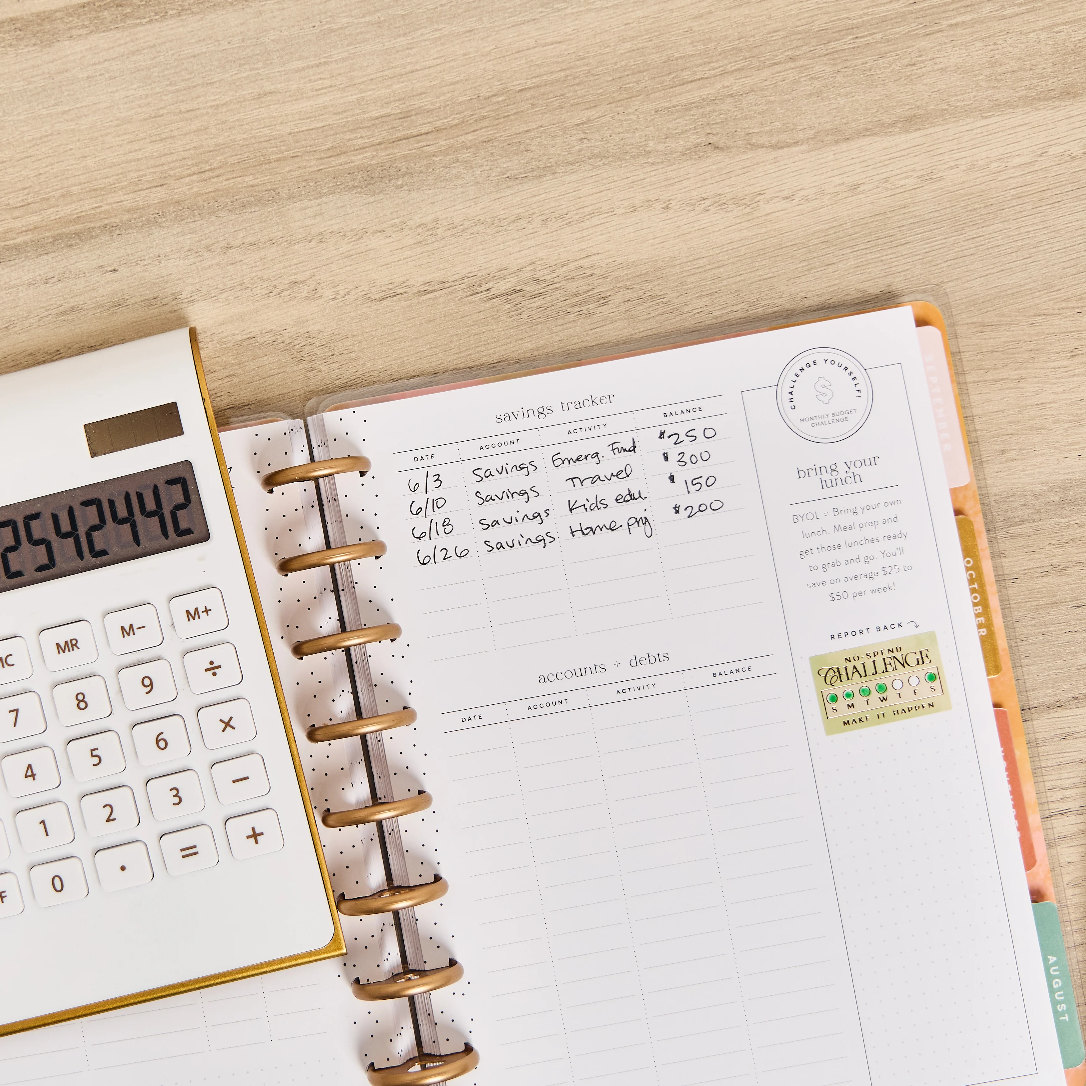 2026 Textured Canvas Customizable Budget Planner - Classic Budget Layout - 12 Months - Image 8