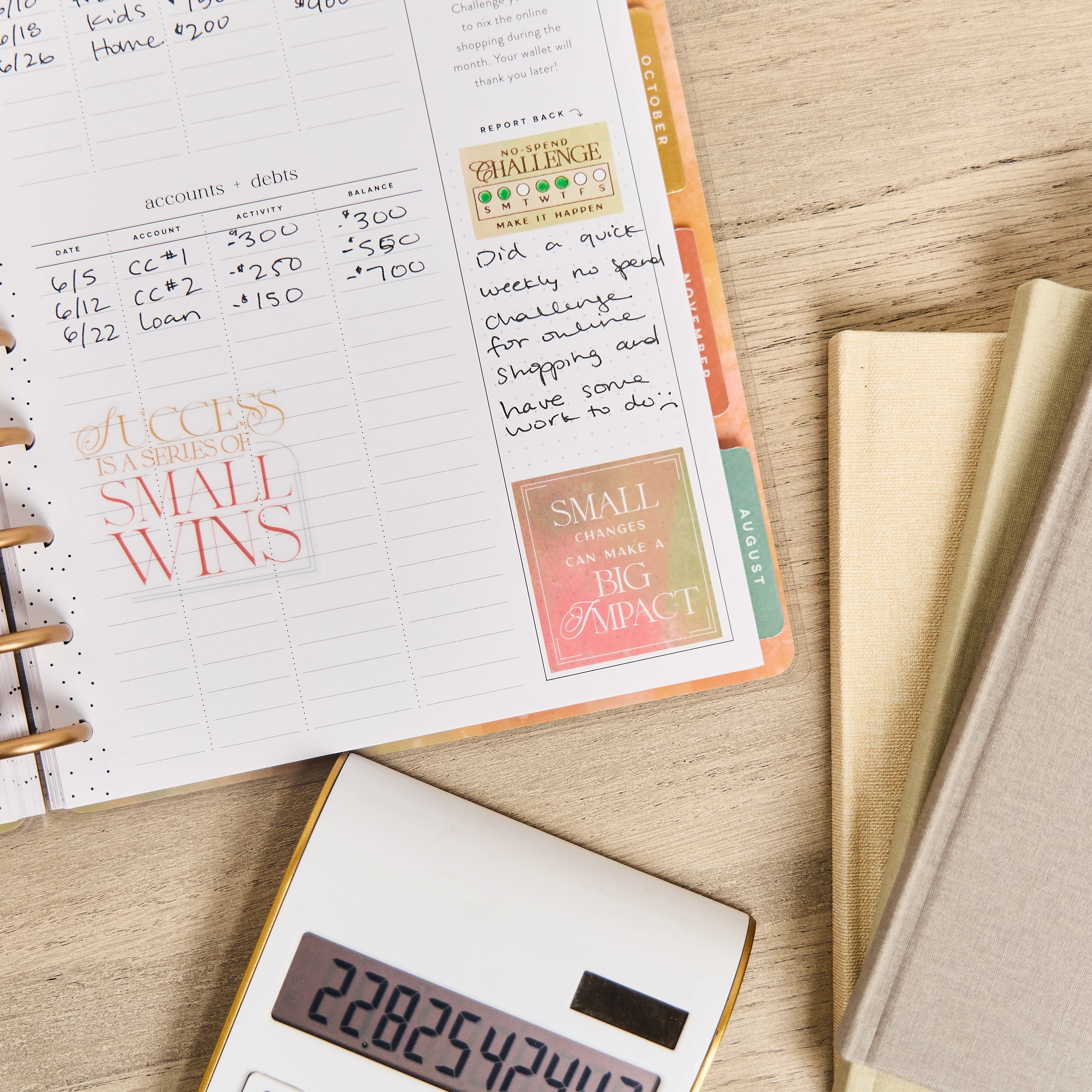 2026 Textured Canvas Customizable Budget Planner - Classic Budget Layout - 12 Months - Image 9