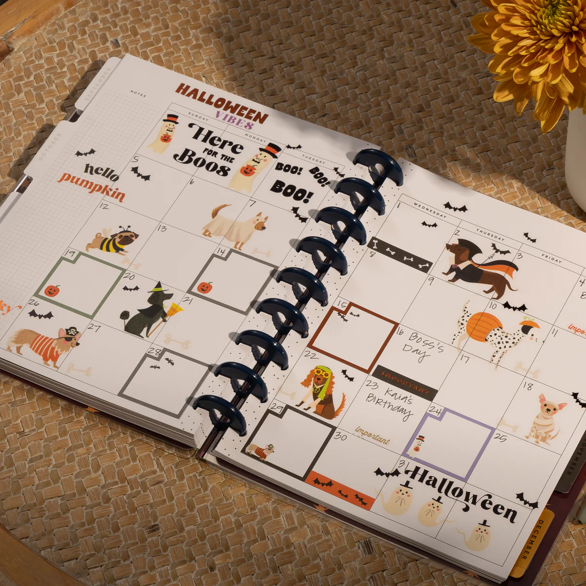 Autumn Accents - Value Pack Stickers - Image 2