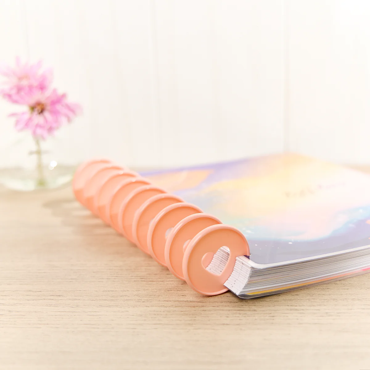 Blush - Expander Plastic Disc Set - Image 3