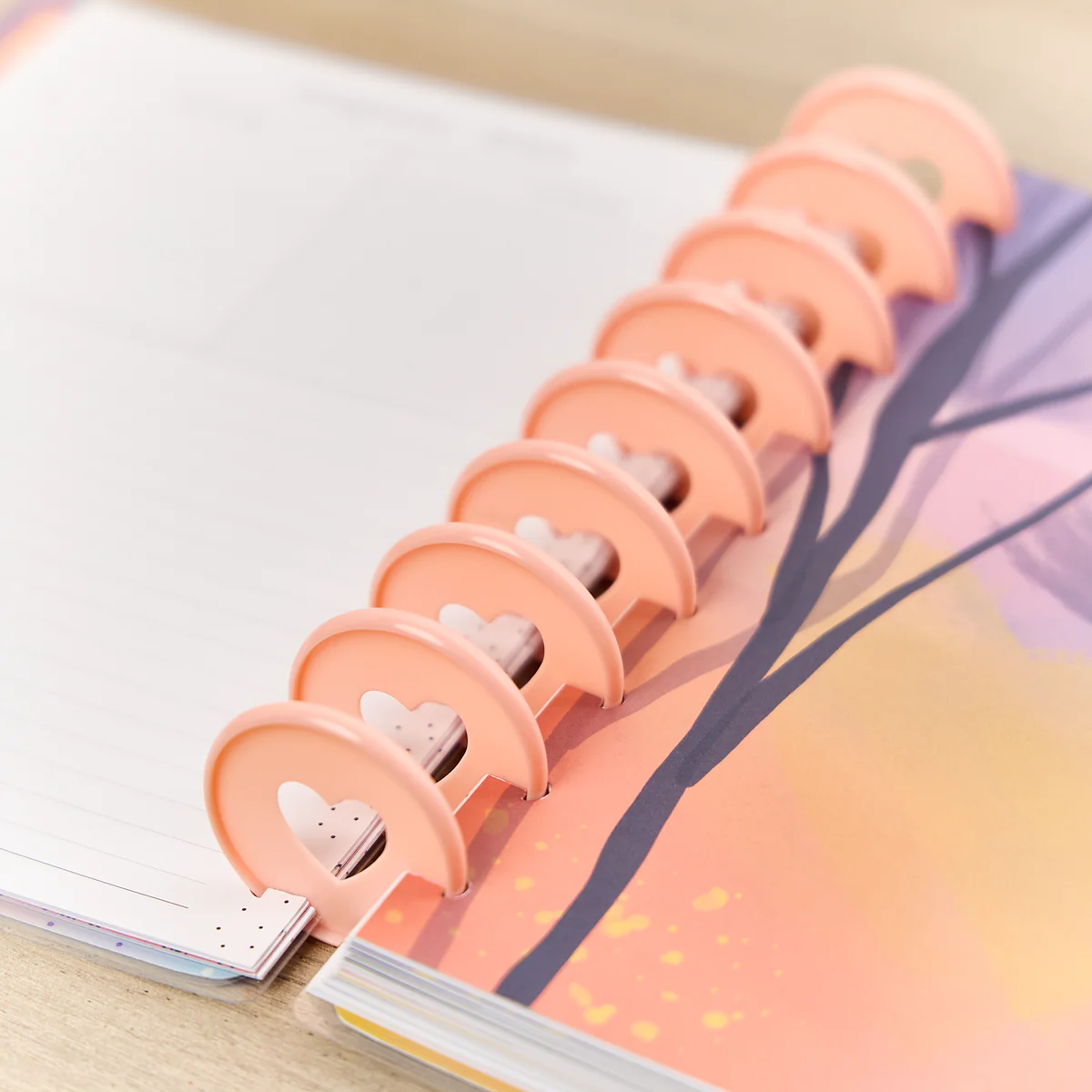 Blush - Expander Plastic Disc Set - Image 4