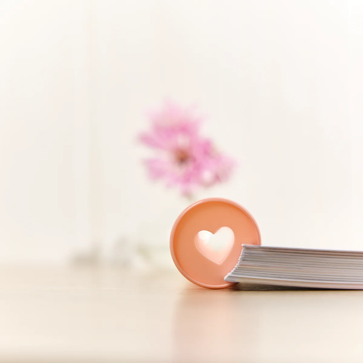 Blush - Expander Plastic Disc Set - Image 5