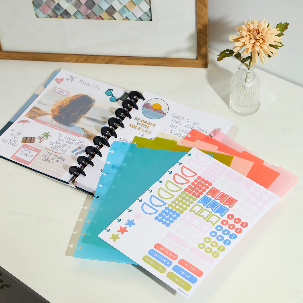 Bright Day - Classic Plastic Dividers - 5 Pack - Image 3