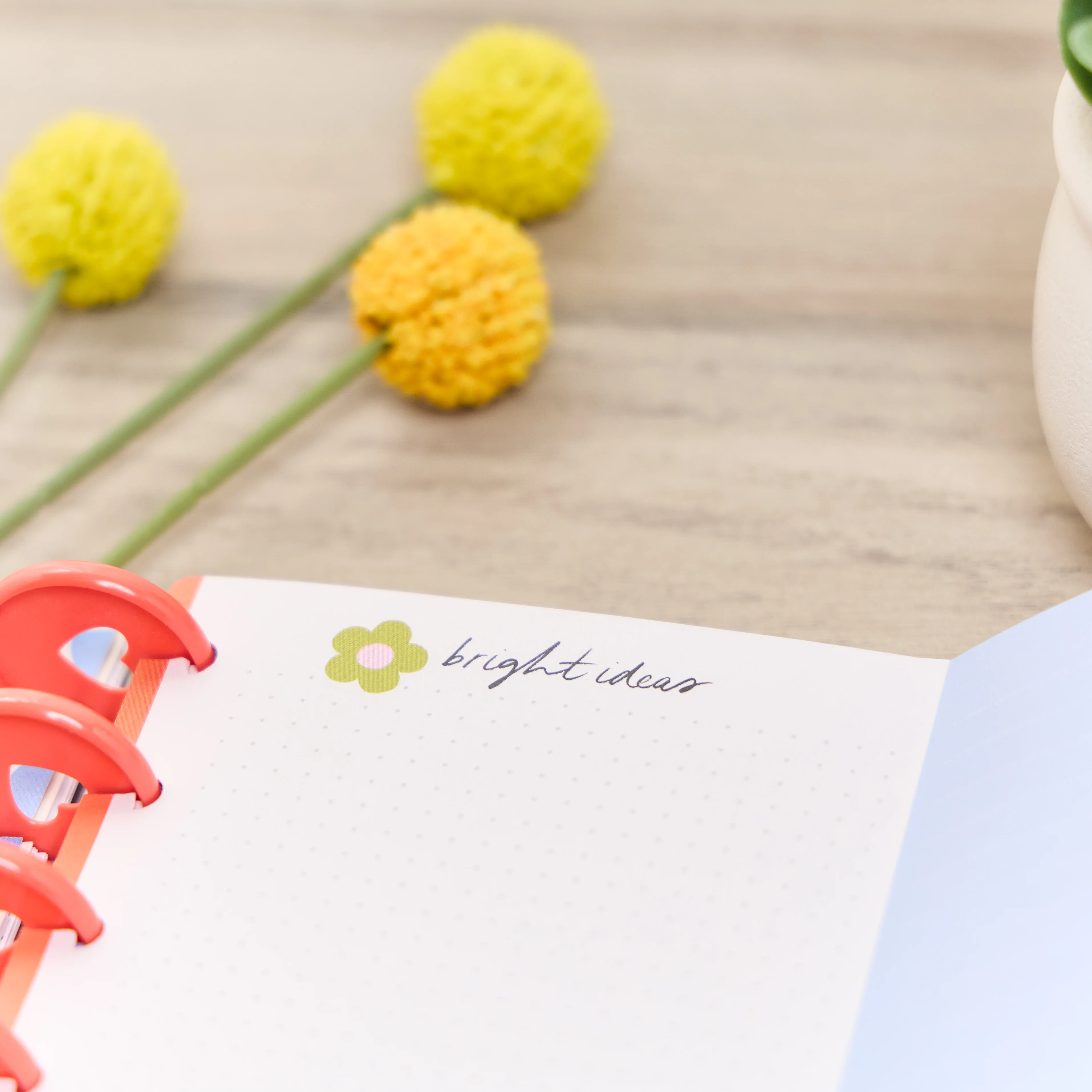 Bright Energy - Big Accessory Pack - Image 14