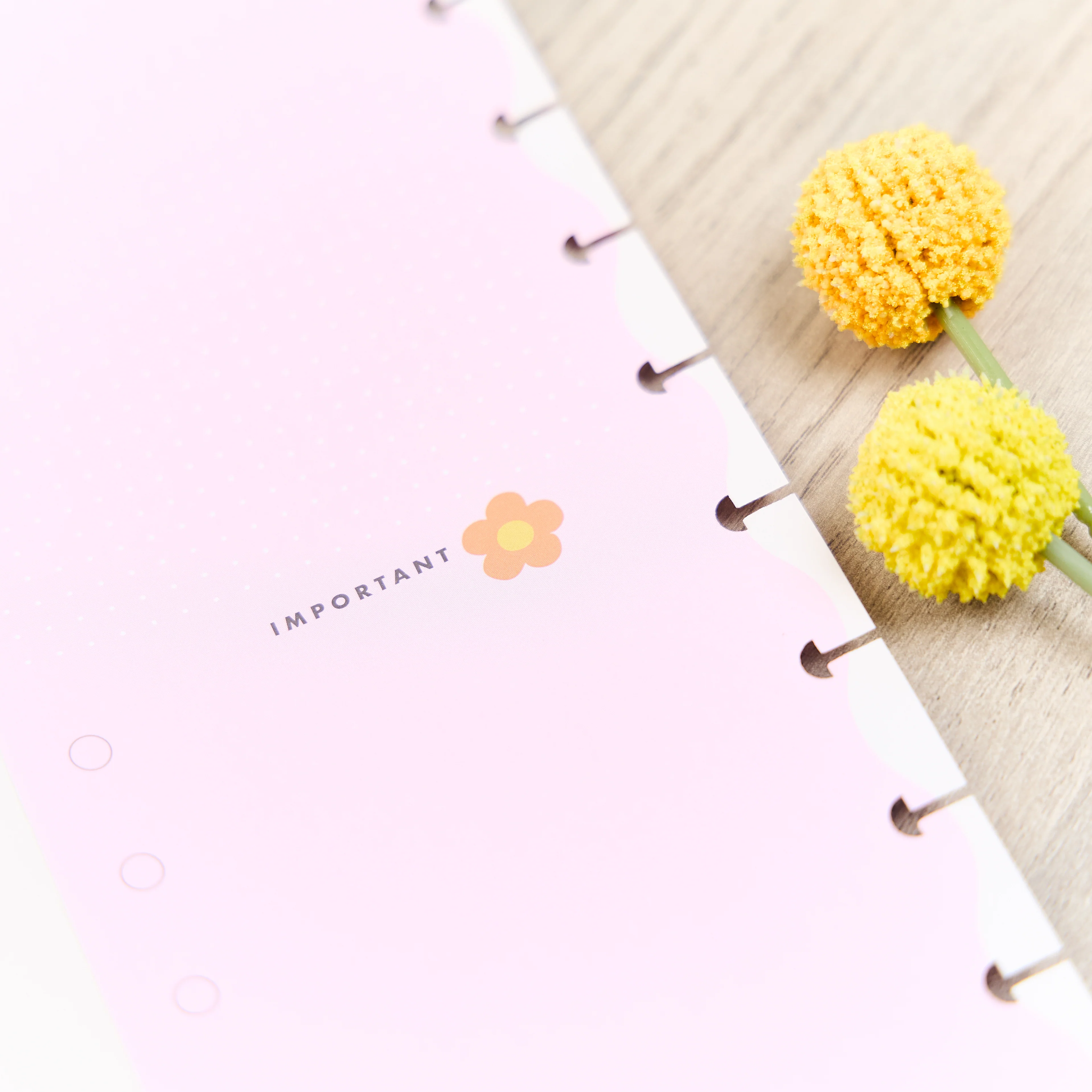 Bright Energy - Big Accessory Pack - Image 15