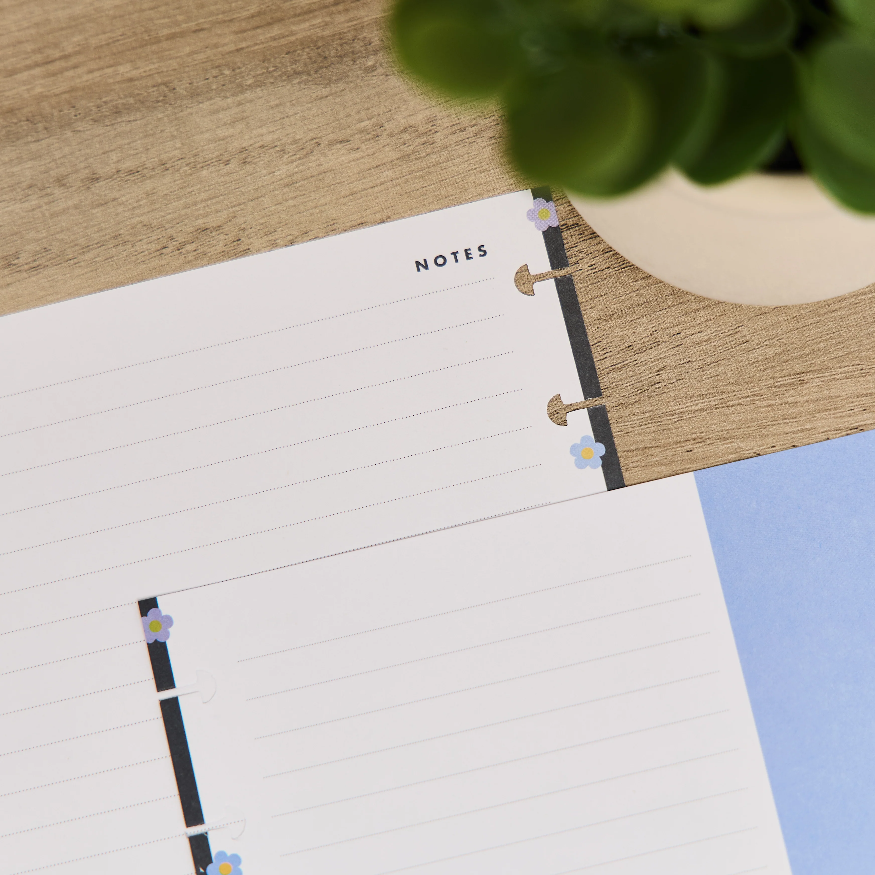 Bright Energy - Dotted Lined Classic Filler Paper - 40 Sheets - Image 5