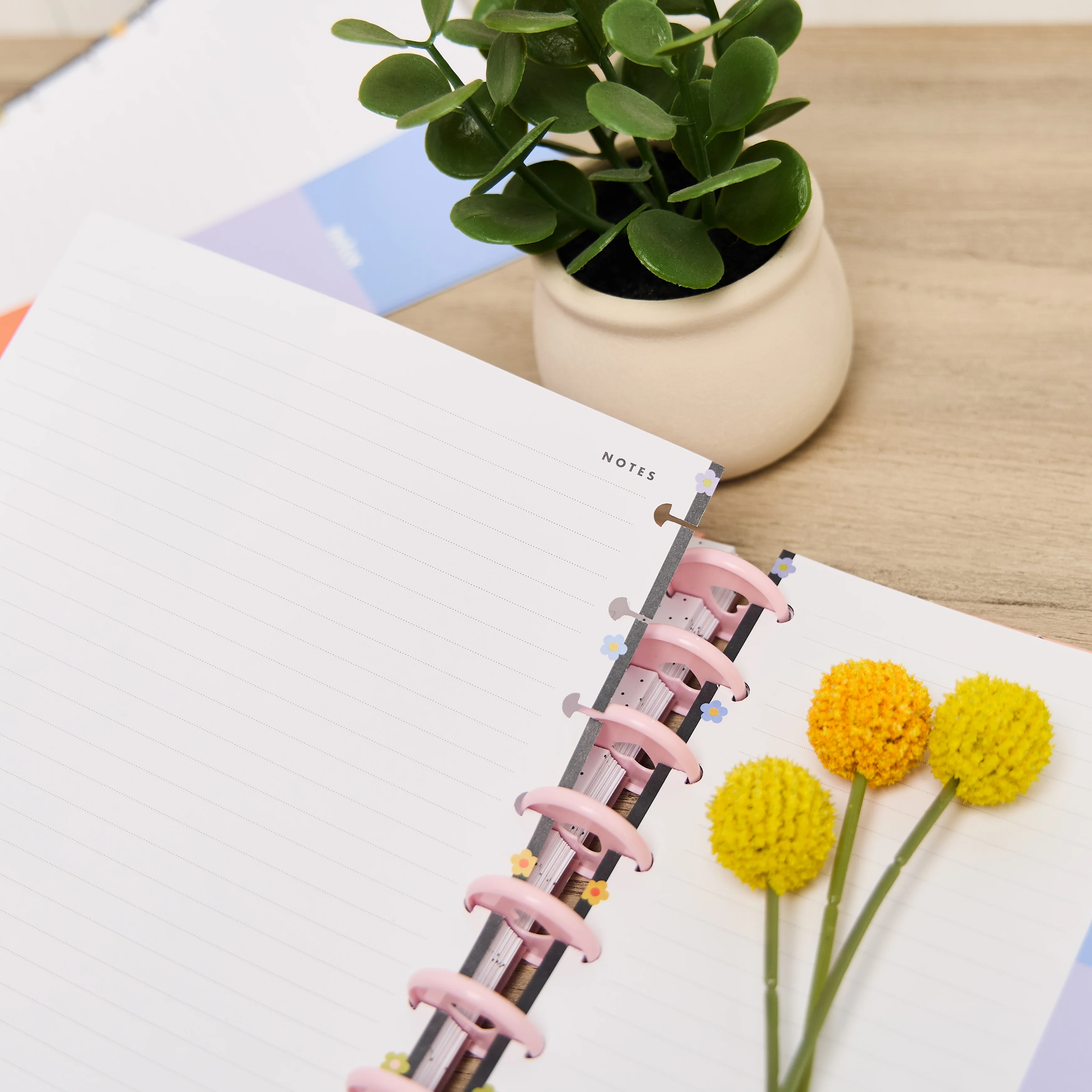 Bright Energy - Dotted Lined Classic Filler Paper - 40 Sheets - Image 6