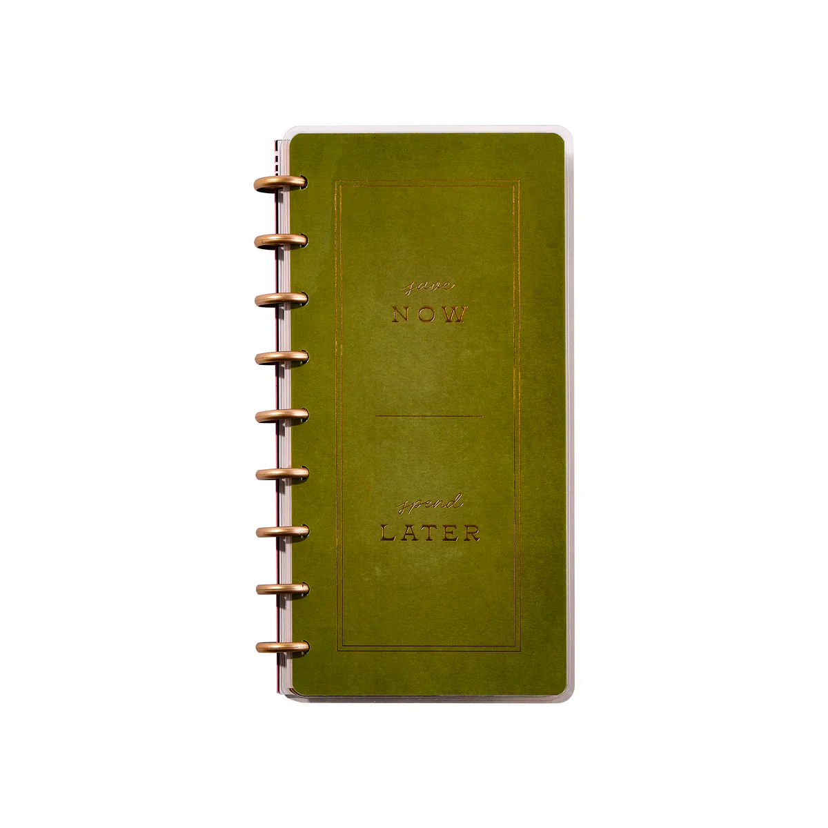 Budget - Skinny Classic Budget Tracker Bundle - Image 5