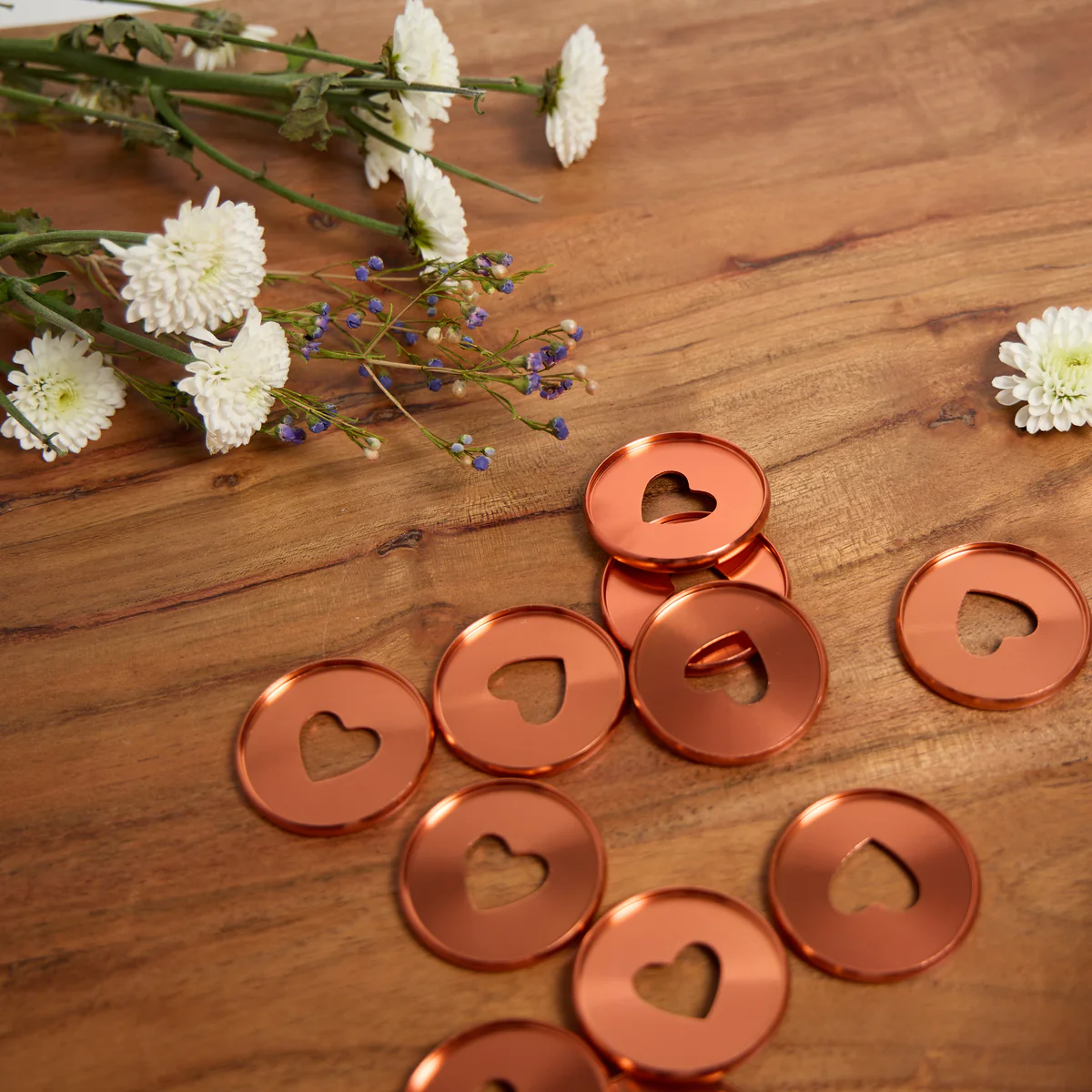 Coral - Expander Metal Disc Set - Image 3