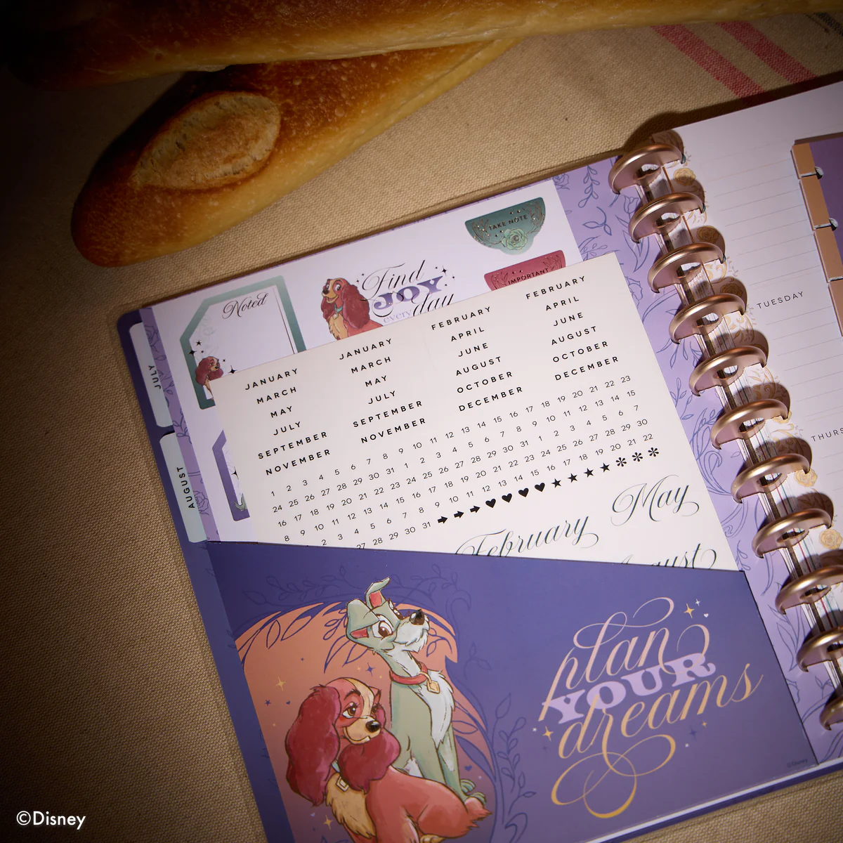 Disney Lady & The Tramp - Big Dashboard Extension Pack - 4 Months - Image 3