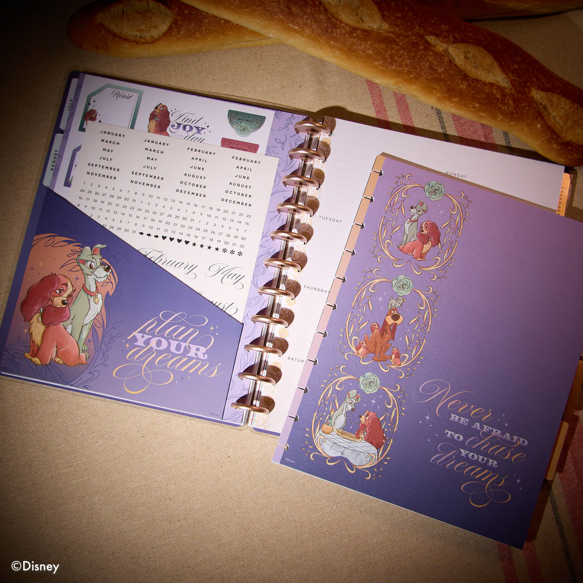 Disney Lady & The Tramp - Big Dashboard Extension Pack - 4 Months - Image 5