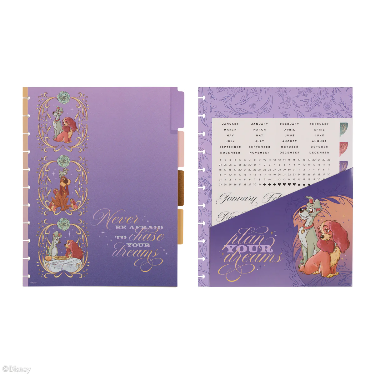 Disney Lady & The Tramp - Big Dashboard Extension Pack - 4 Months - Image 6