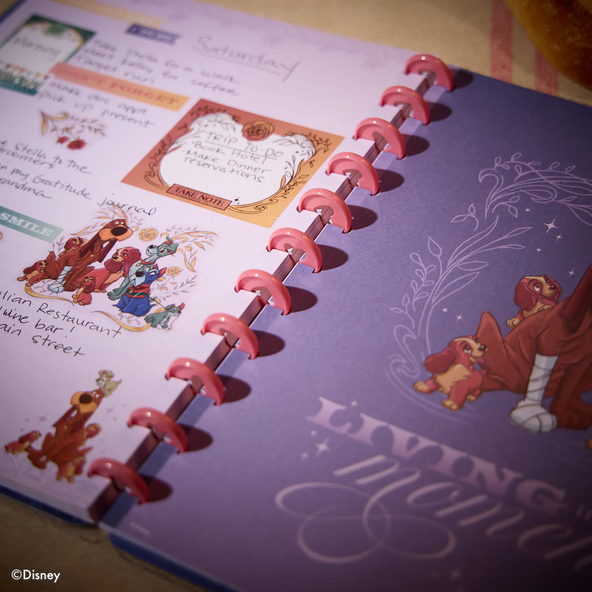 Disney Lady & The Tramp - Dotted Lined Big Notebook - 60 Sheets - Image 3