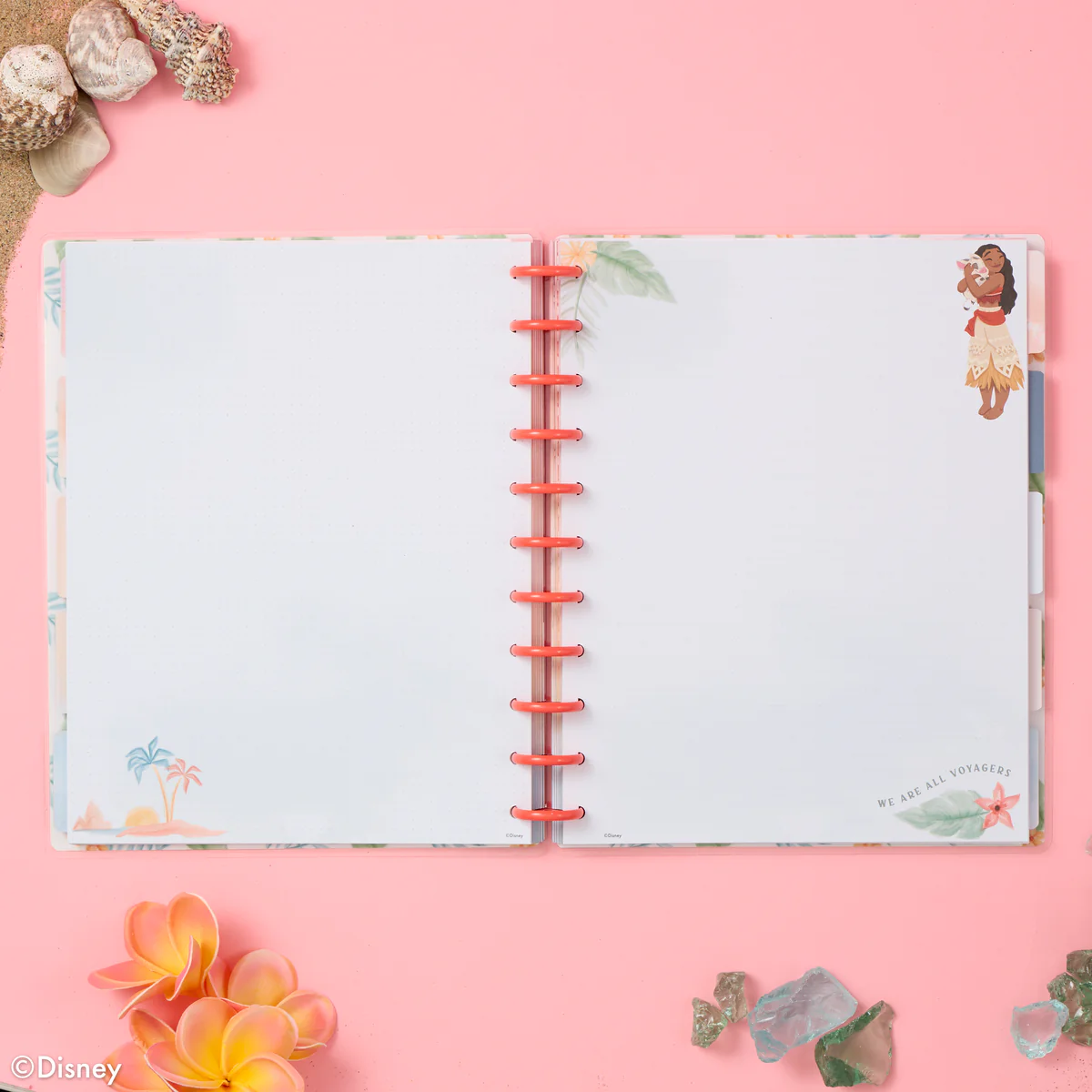 Disney Moana - Dotted Lined Big Filler Paper - 40 Sheets - Image 3