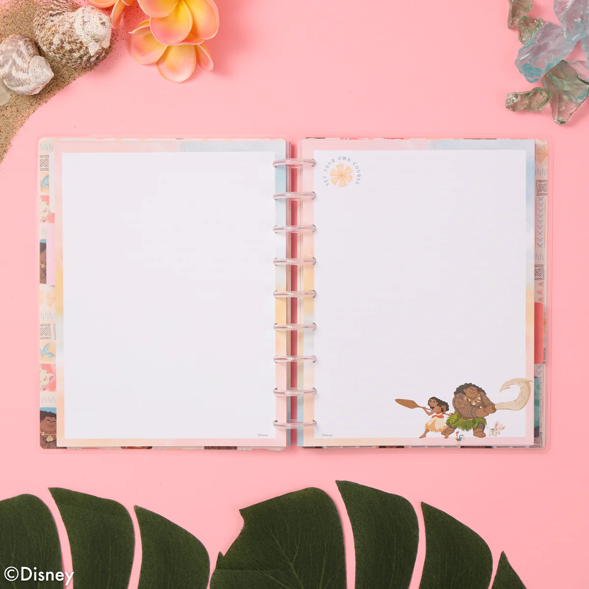 Disney Moana - Dotted Lined Classic Filler Paper - 40 Sheets - Image 3