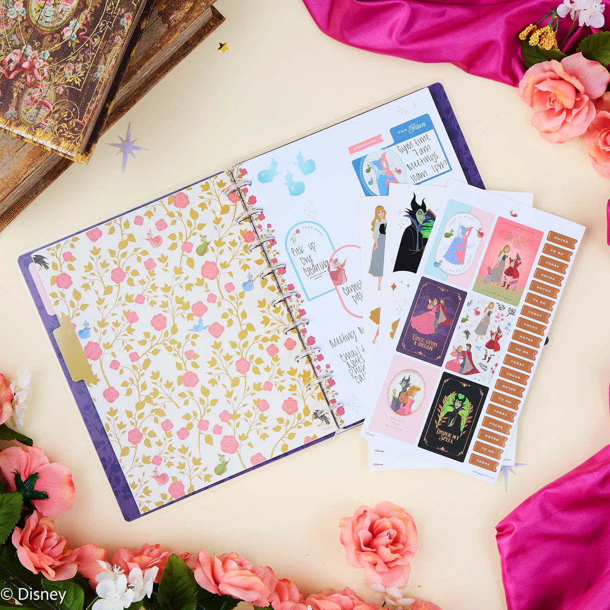 Disney Sleeping Beauty 65th Anniversary - Dotted Lined Classic Notebook - 60 Sheets - Image 3