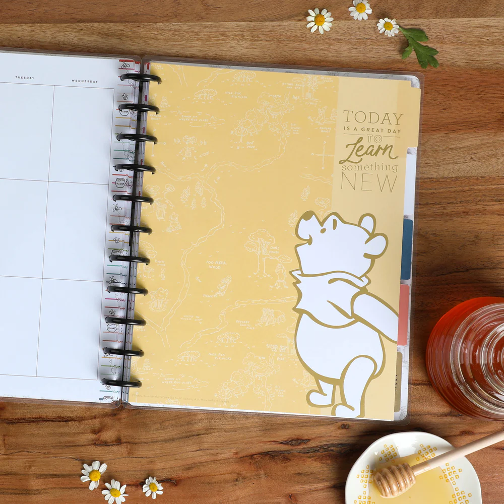 Disney Winnie the Pooh True to You - Big Vertical Extension Pack - 4 Months - Image 3