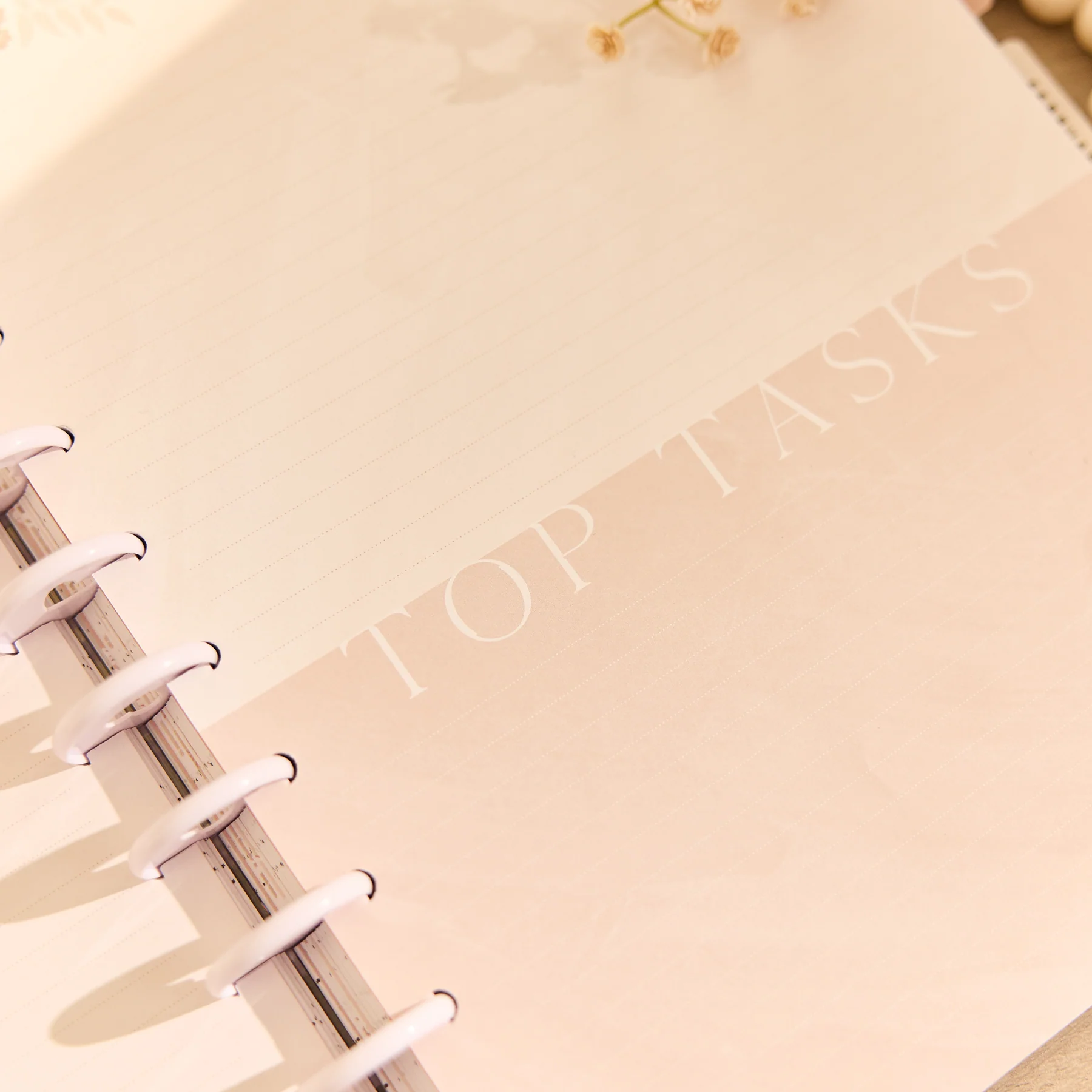 Dune Hues - Dotted Lined Big Filler Paper - 40 Sheets - Image 6