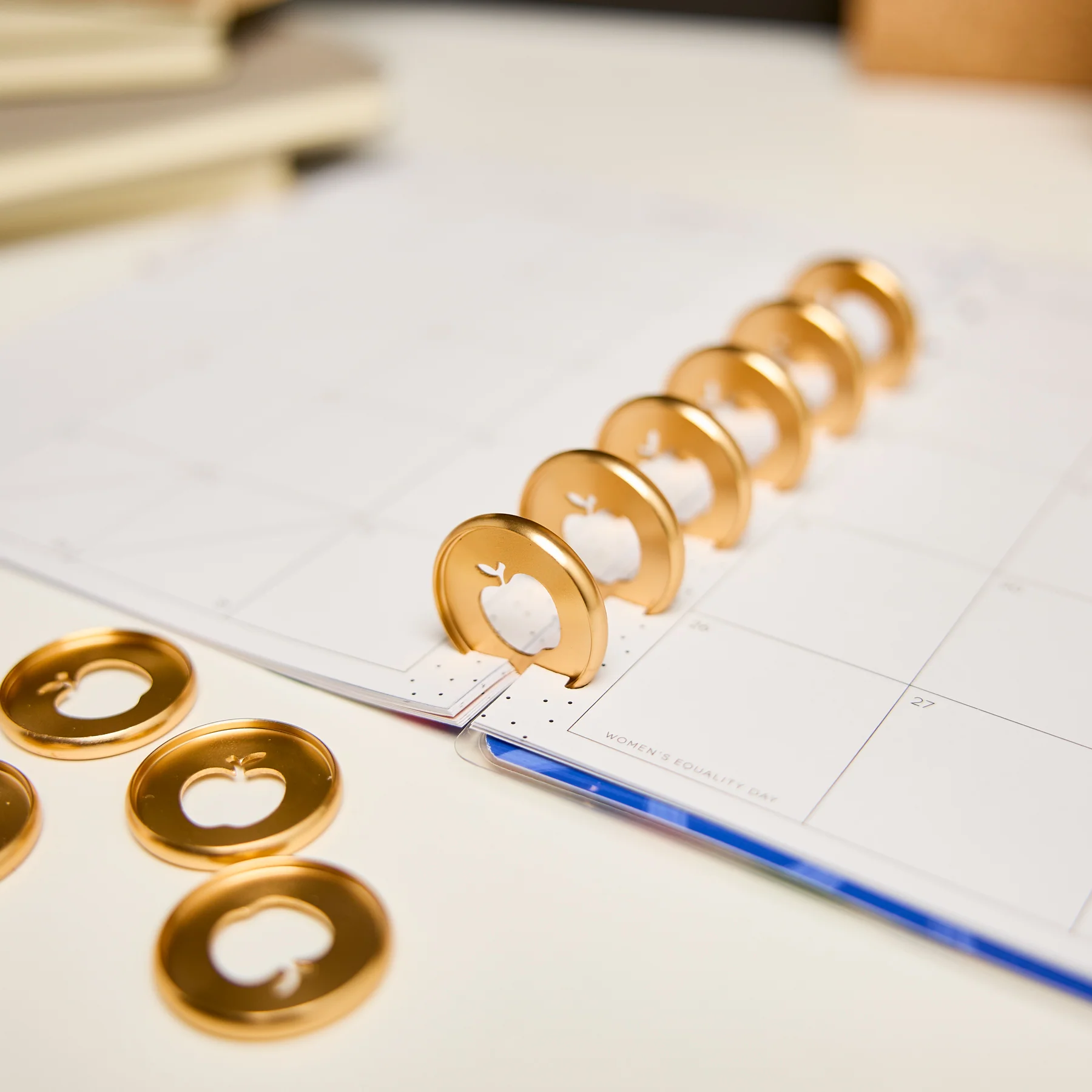 Gold Apple Cut Out - Medium Metal Disc Set - Image 2