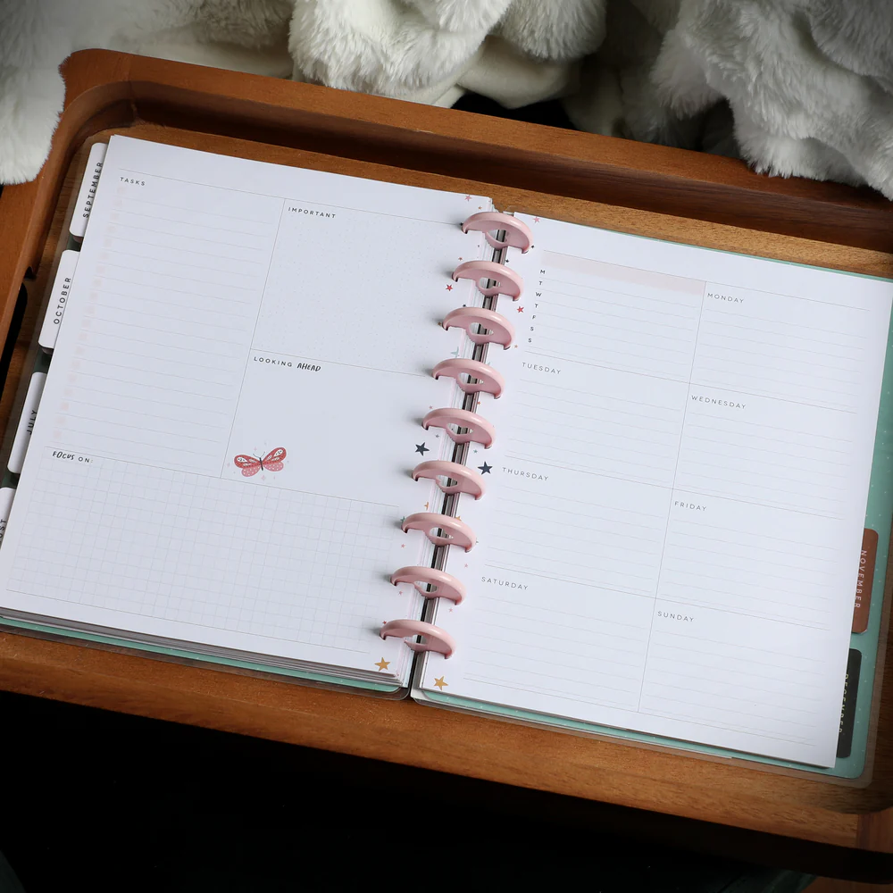 Life's a Party - Classic Seasonal Dashboard Extension Pack - 4 Months - Image 4