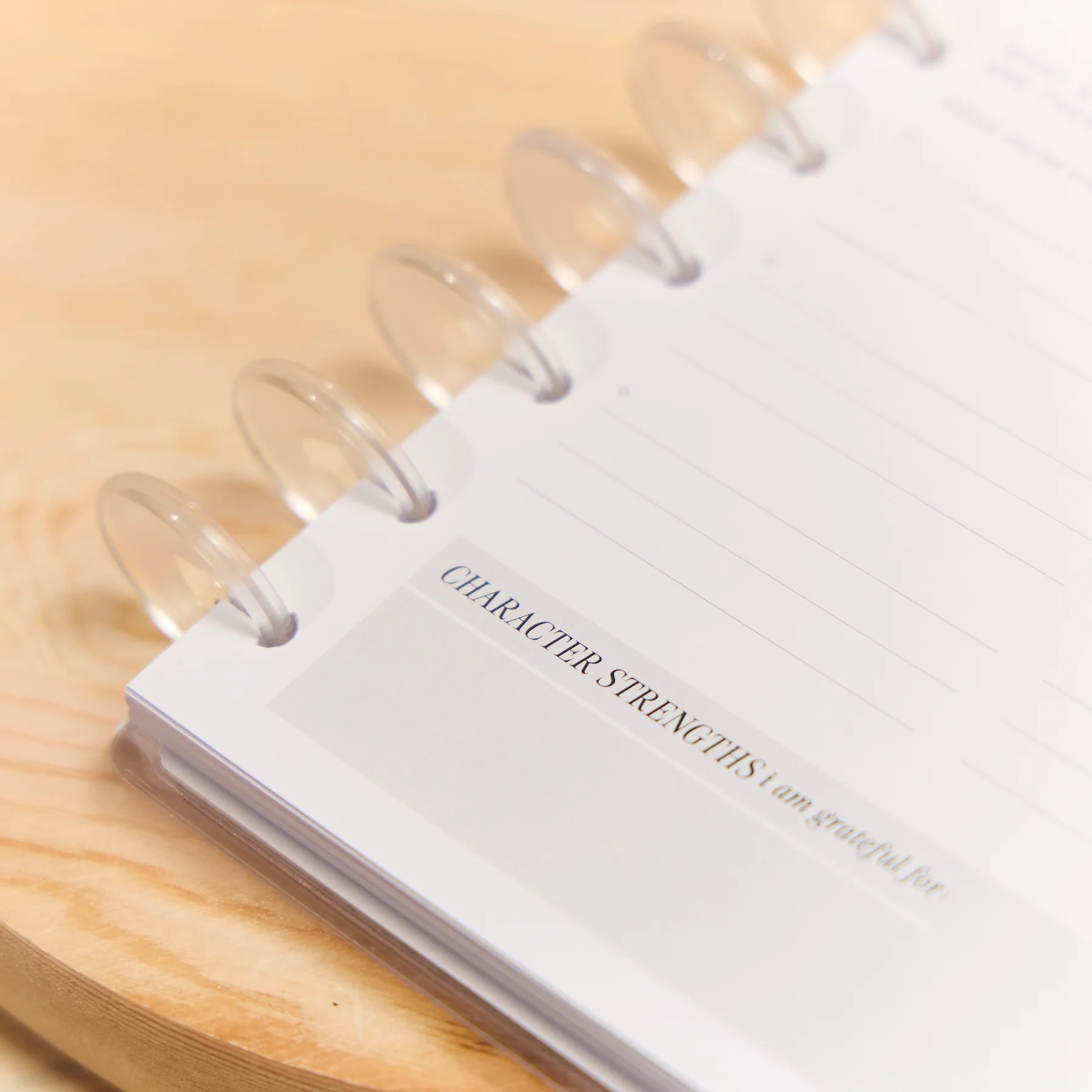 Manifest - Classic Guided Manifestation Journal - 80 Sheets - Image 7