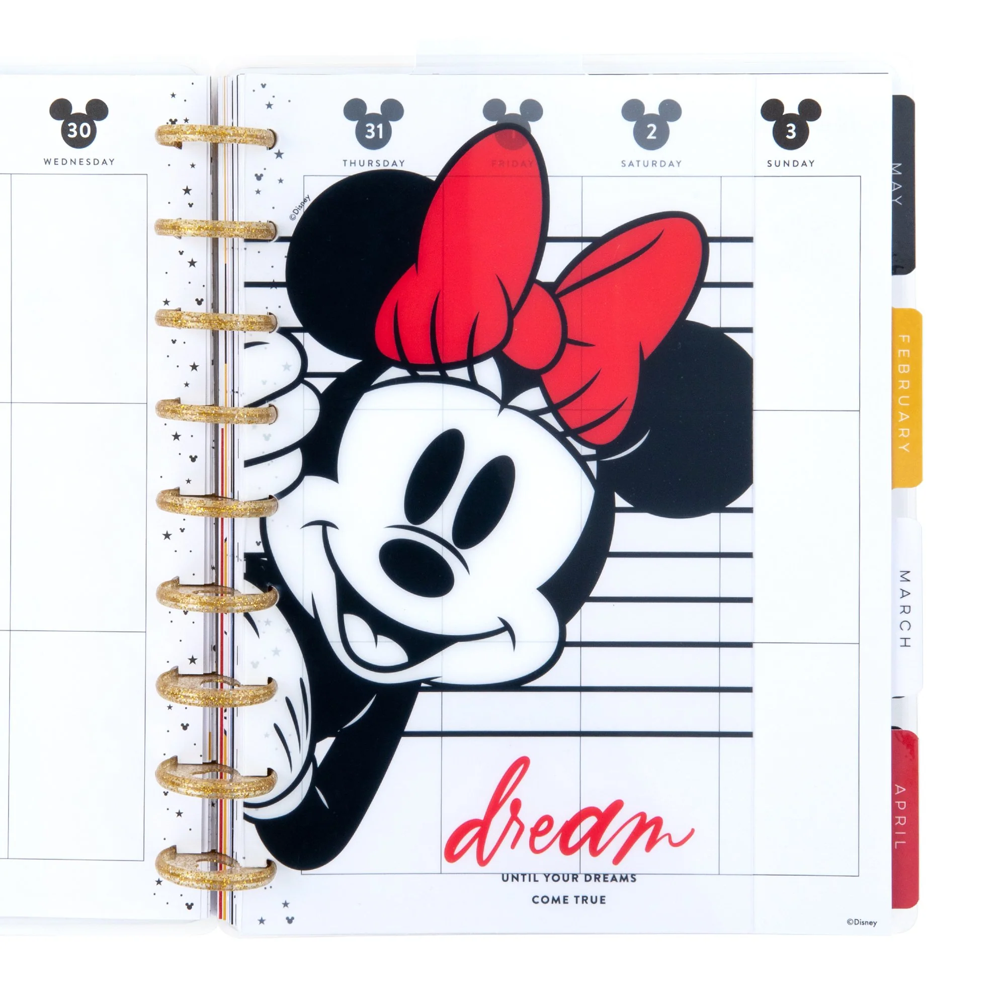 Mickey and Minnie Classic Dashboards - Dreams Come True - Image 3