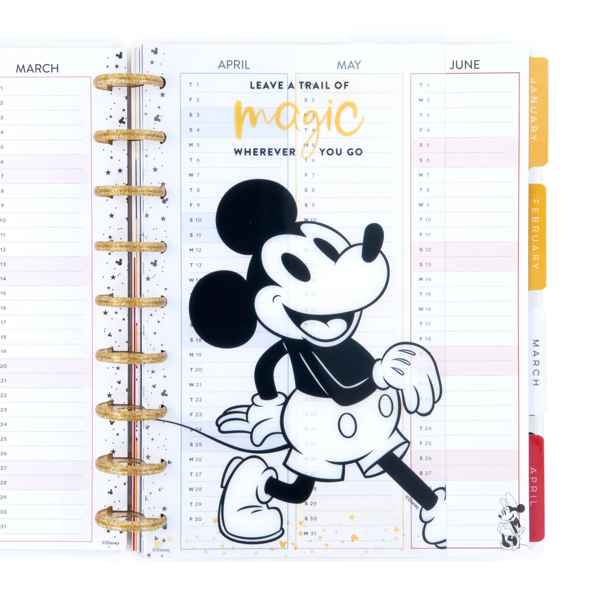 Mickey and Minnie Classic Dashboards - Dreams Come True - Image 4