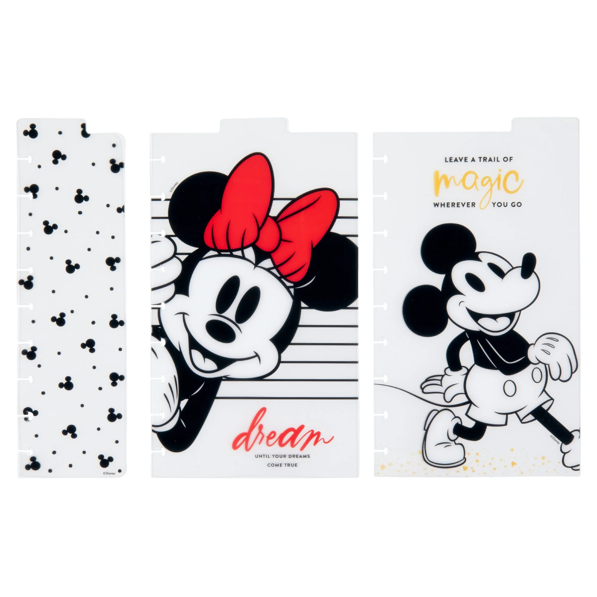 Mickey and Minnie Classic Dashboards - Dreams Come True - Image 5