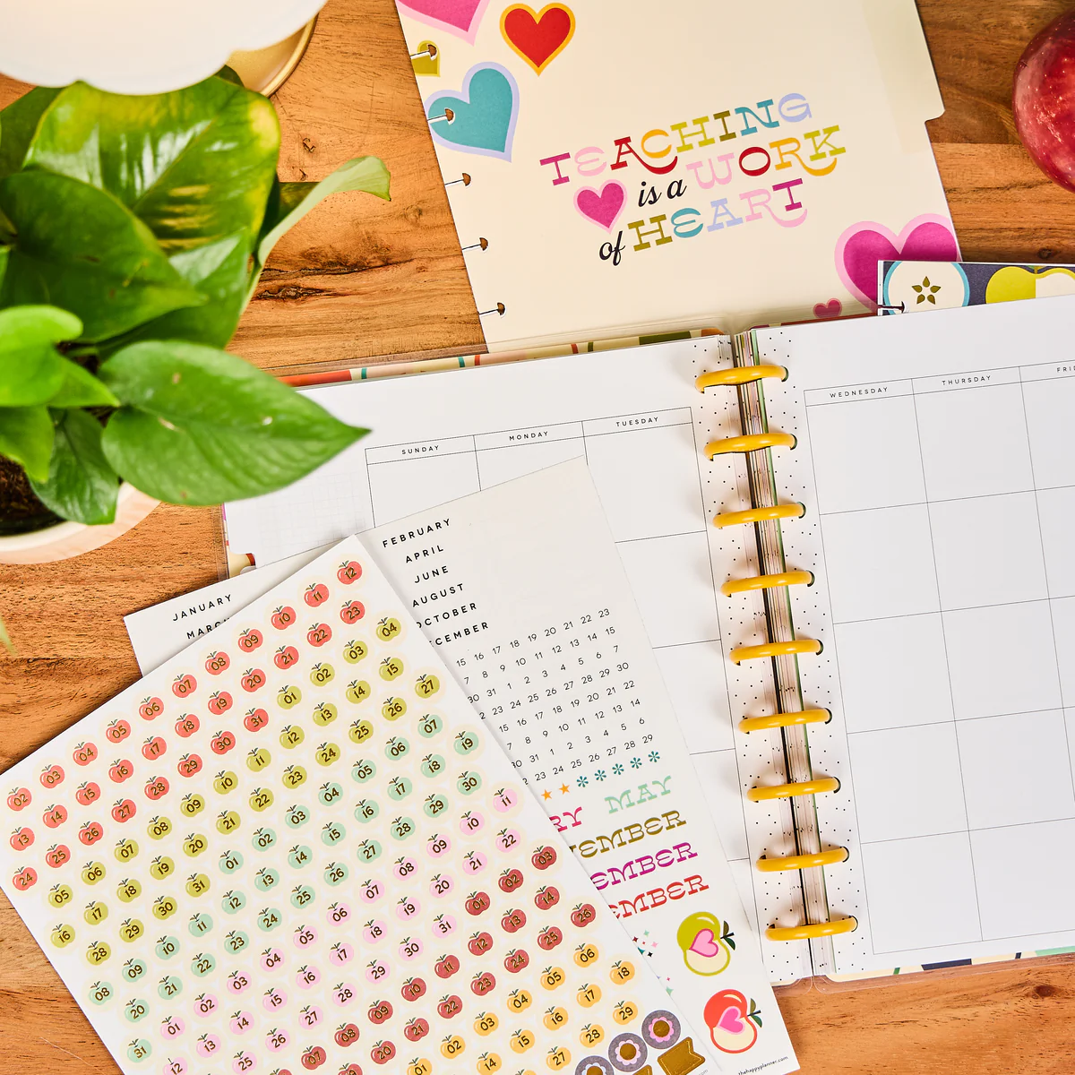 Mod Teacher - Classic Teacher Extension Pack - 6 Months - Image 6