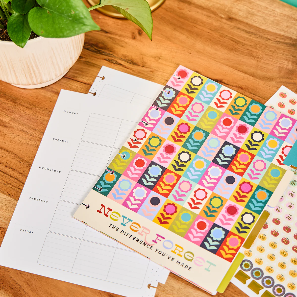 Mod Teacher - Classic Teacher Extension Pack - 6 Months - Image 7
