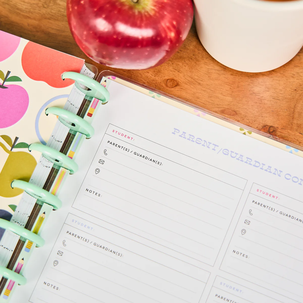 Mod Teacher - Parent & Student Info - Big Accessory Pack - Image 3