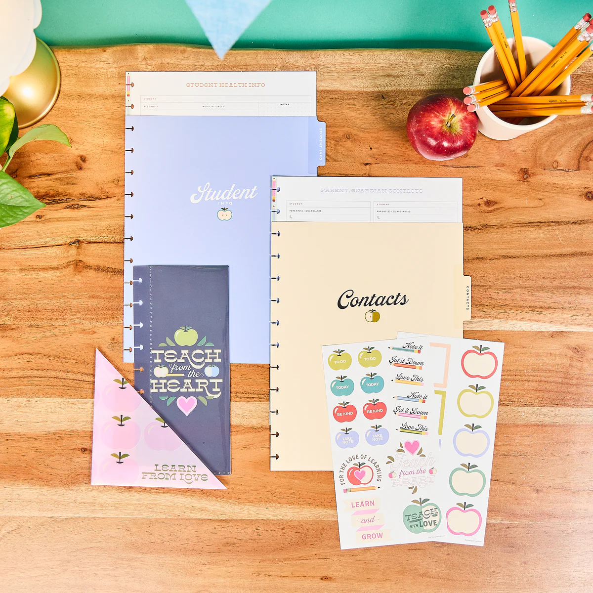 Mod Teacher - Parent & Student Info - Big Accessory Pack - Image 7