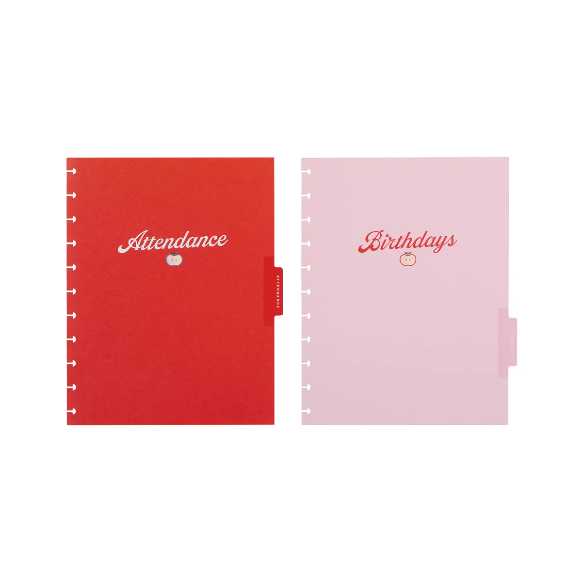 Mod Teacher - Student Attendance & Birthdays - Big Accessory Pack - Image 14