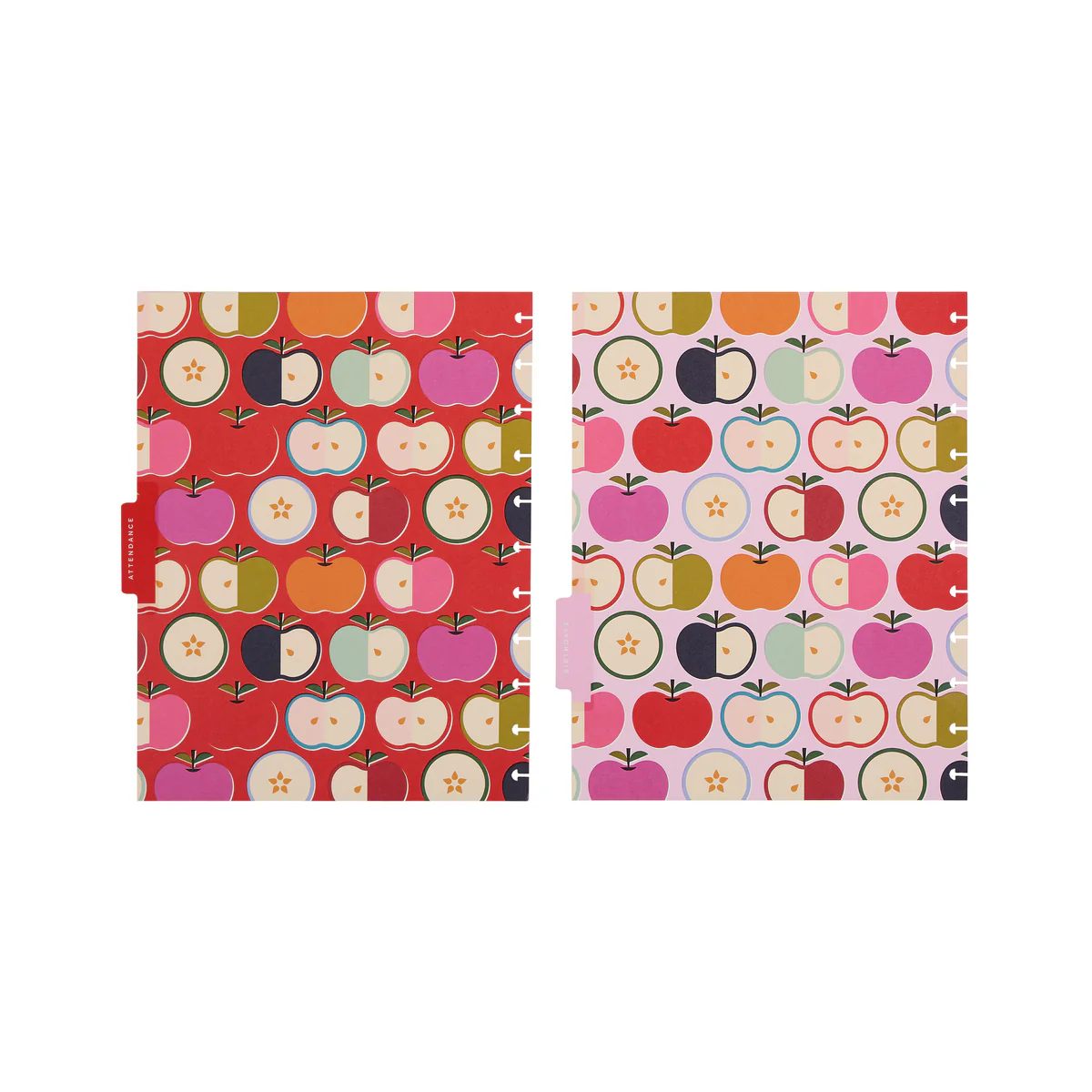 Mod Teacher - Student Attendance & Birthdays - Big Accessory Pack - Image 15