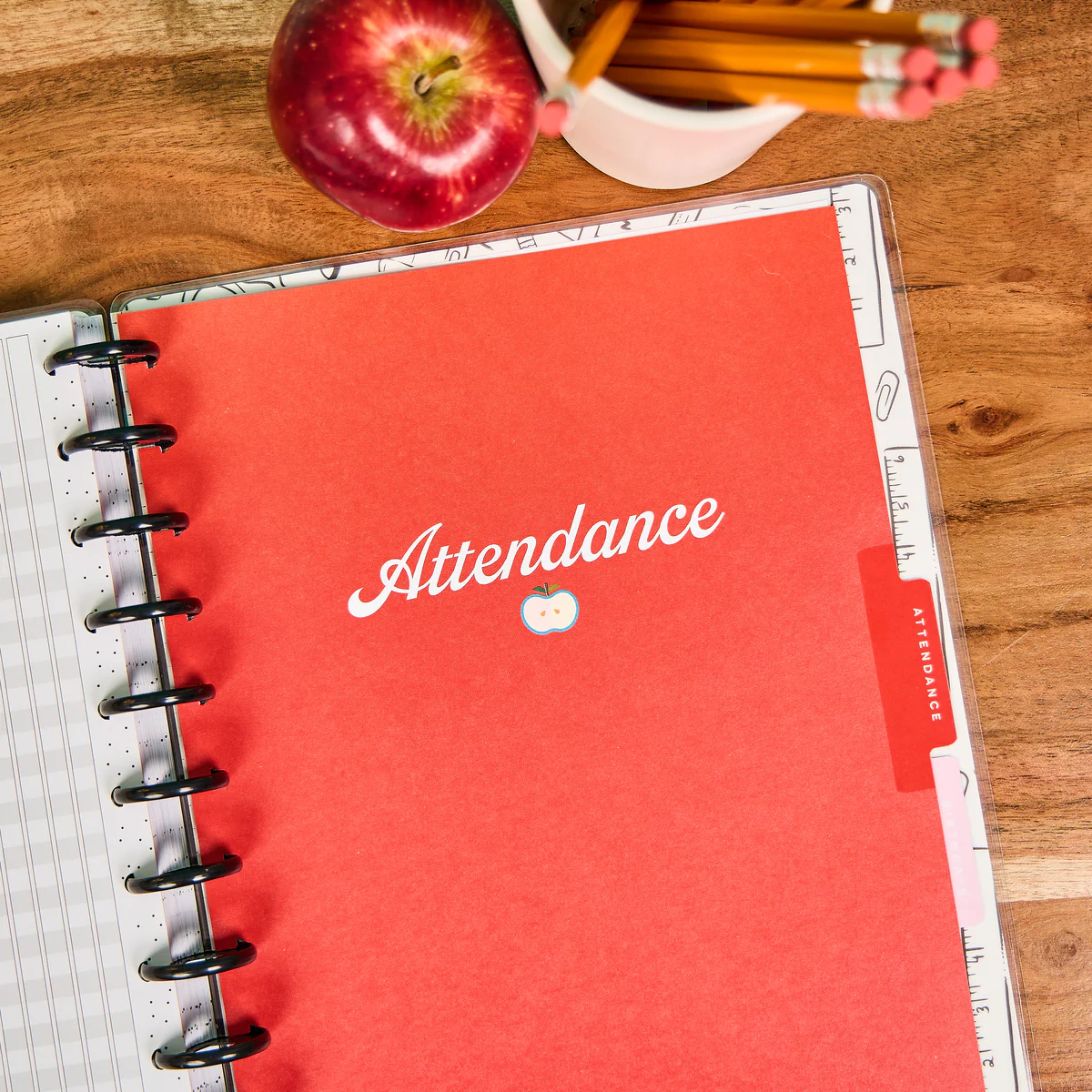 Mod Teacher - Student Attendance & Birthdays - Big Accessory Pack - Image 4