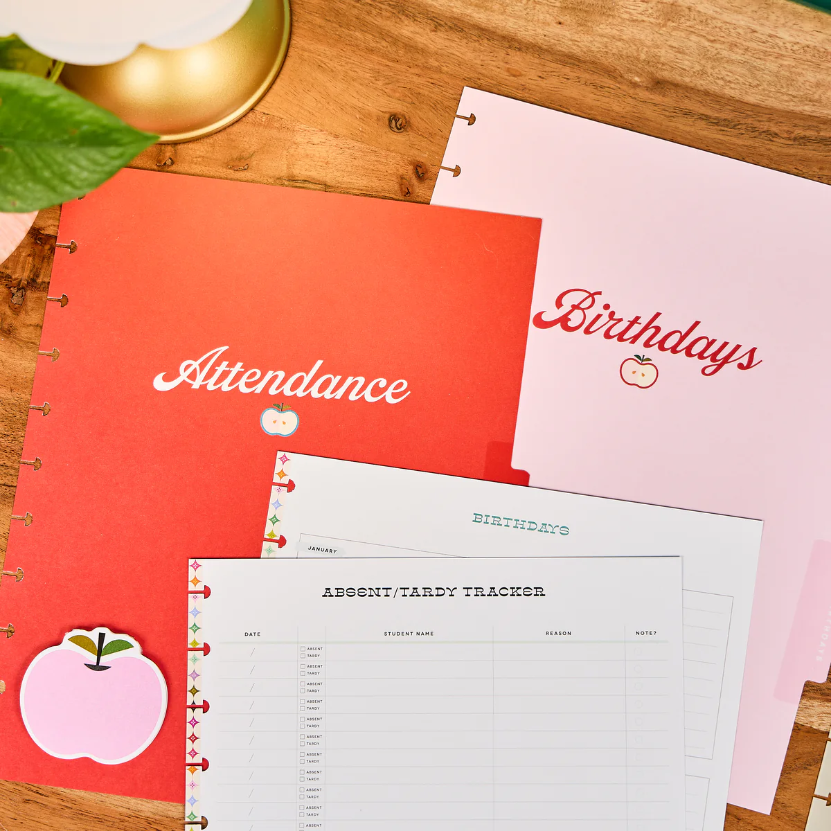 Mod Teacher - Student Attendance & Birthdays - Big Accessory Pack - Image 6