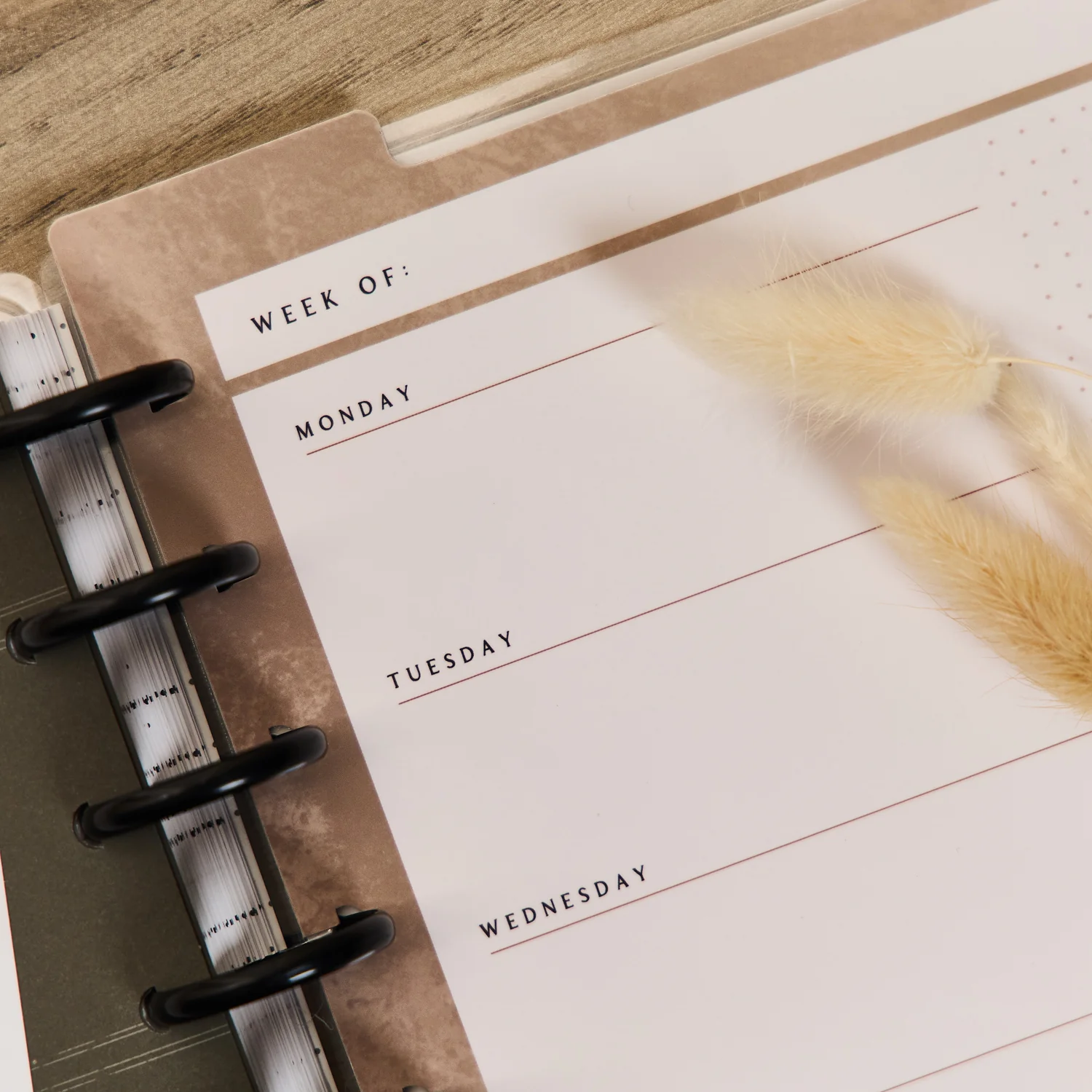 Modern Charm - Big Planner Companion - Image 9