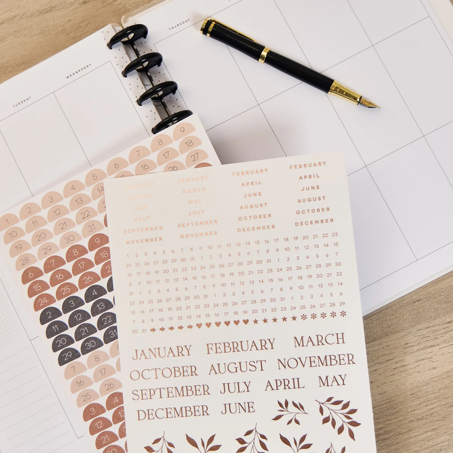 Modern Charm - Big Extension Pack - Image 5