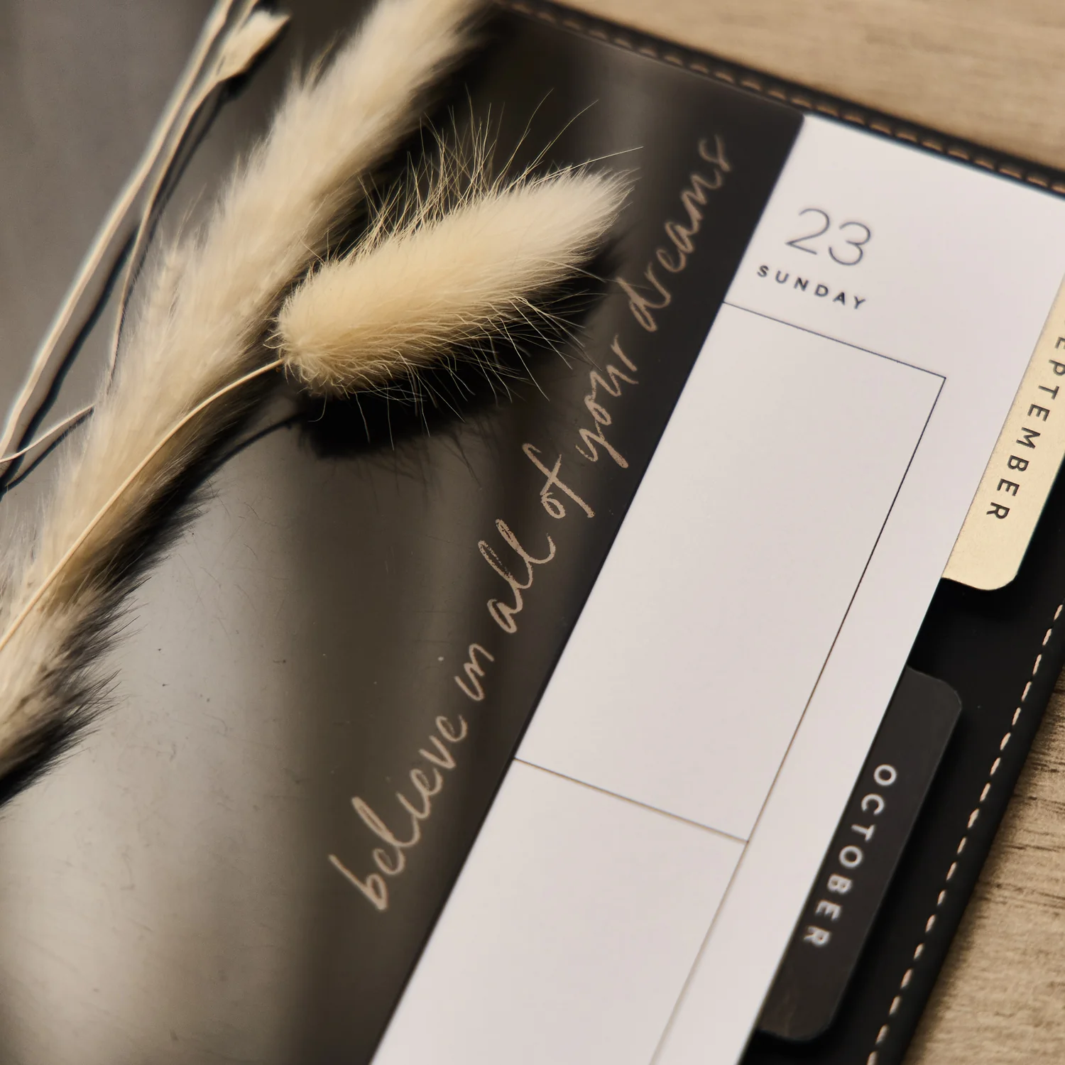 Modern Charm - Classic Dashboard - Image 5