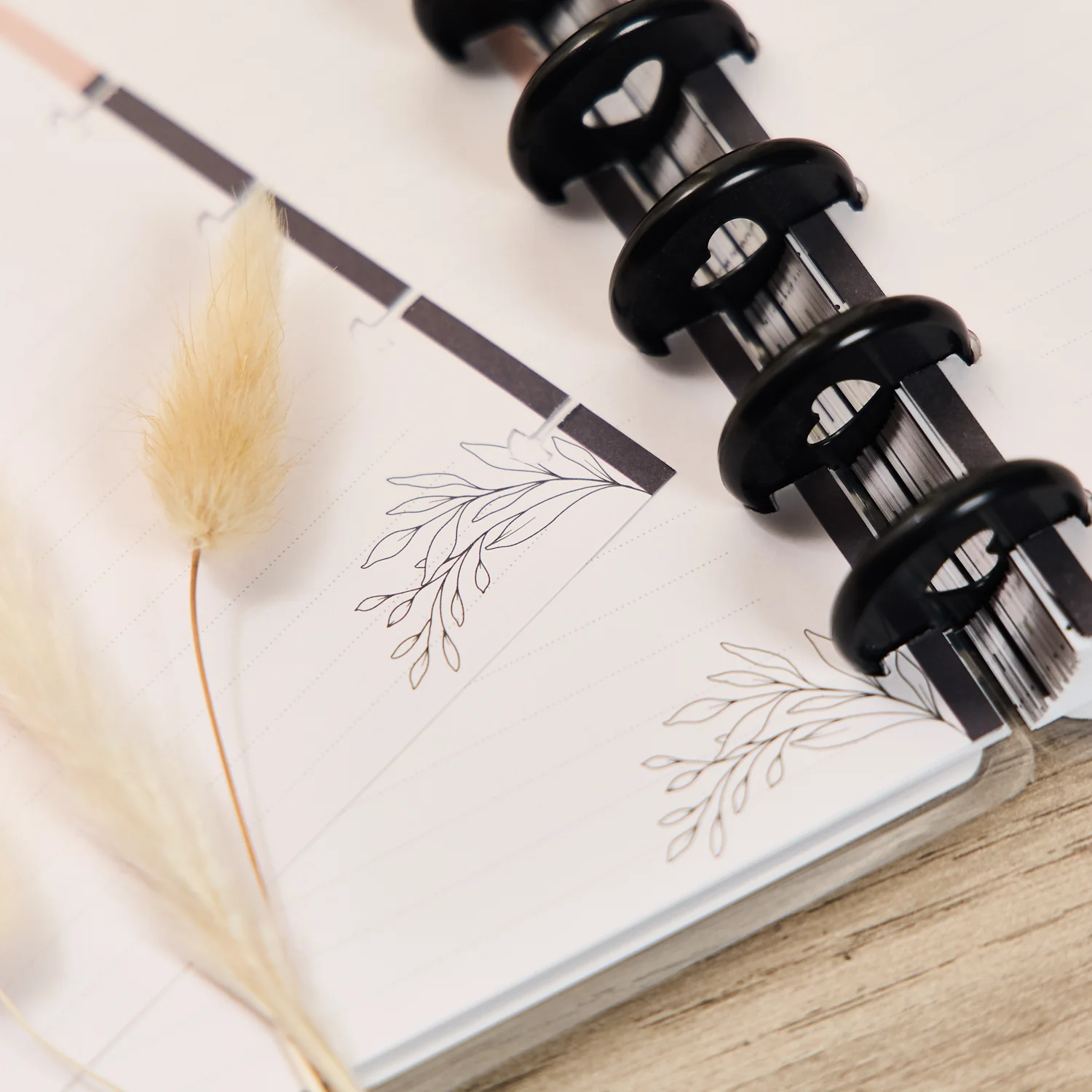 Modern Charm - Dotted Lined Big Filler Paper - 40 Sheets - Image 5